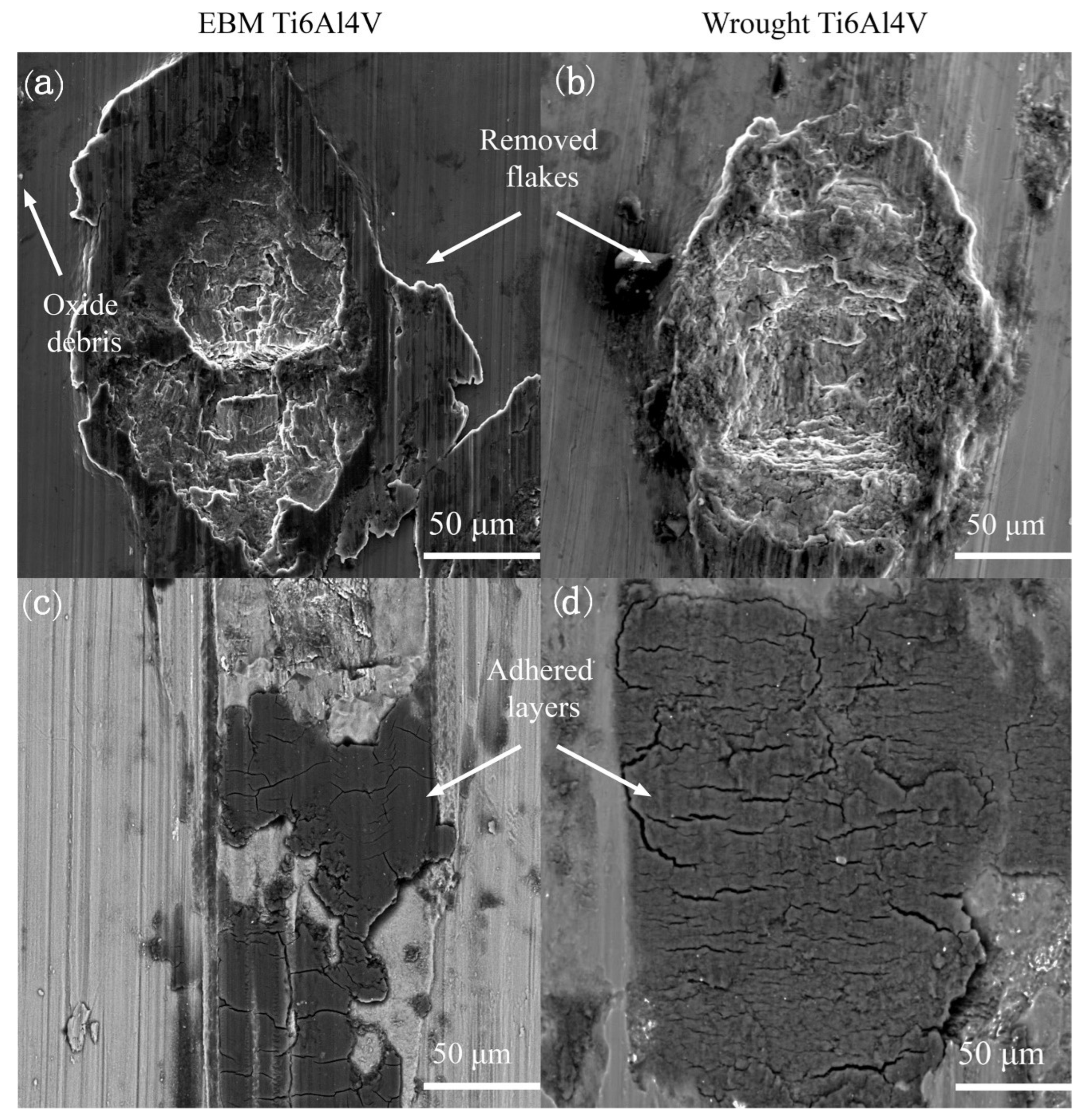 Materials 16 02583 g013 Materials 16 02583 g013