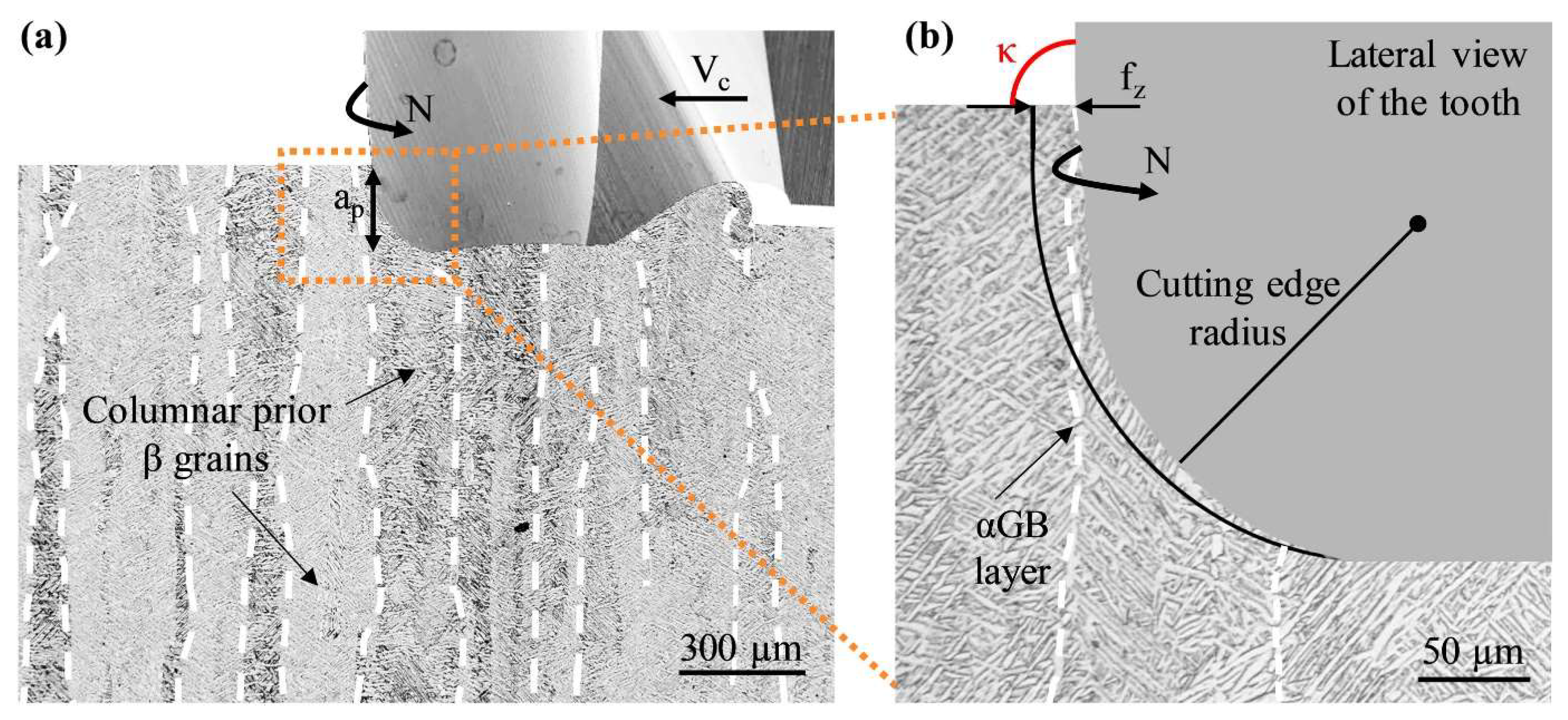 Materials 16 02583 g020 Materials 16 02583 g020