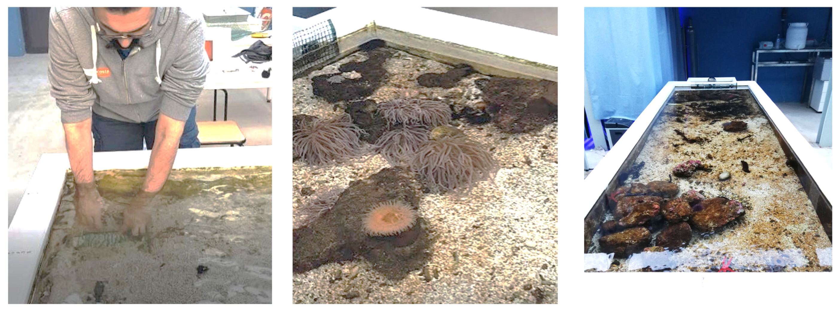 Materials 16 02593 g001