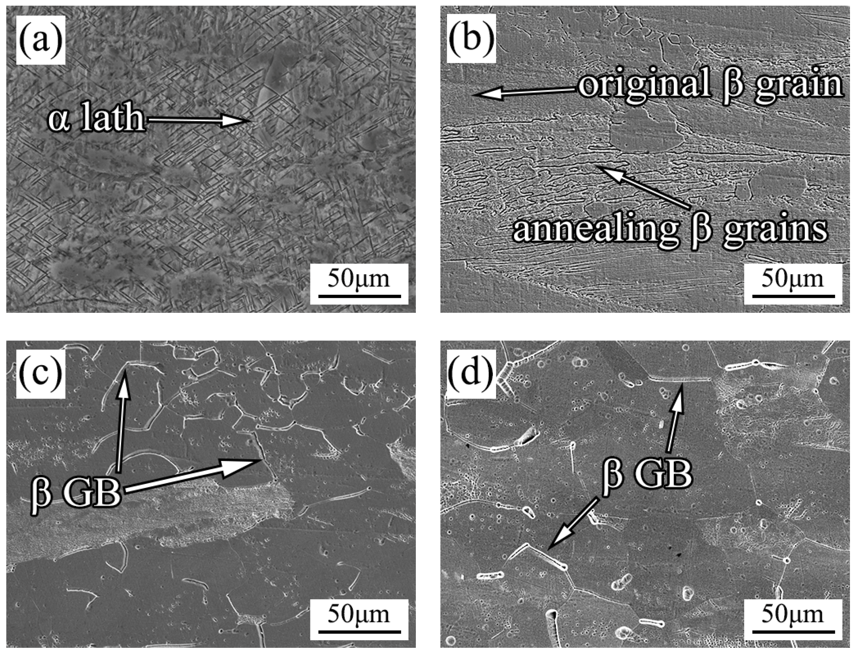 Materials 16 02597 g002