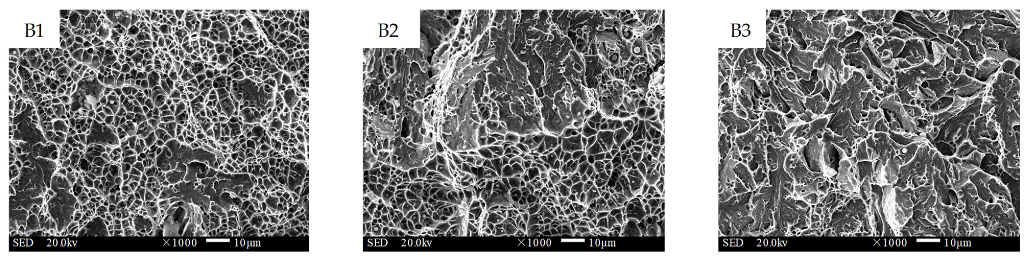 Materials 16 02639 g014 Materials 16 02639 g014