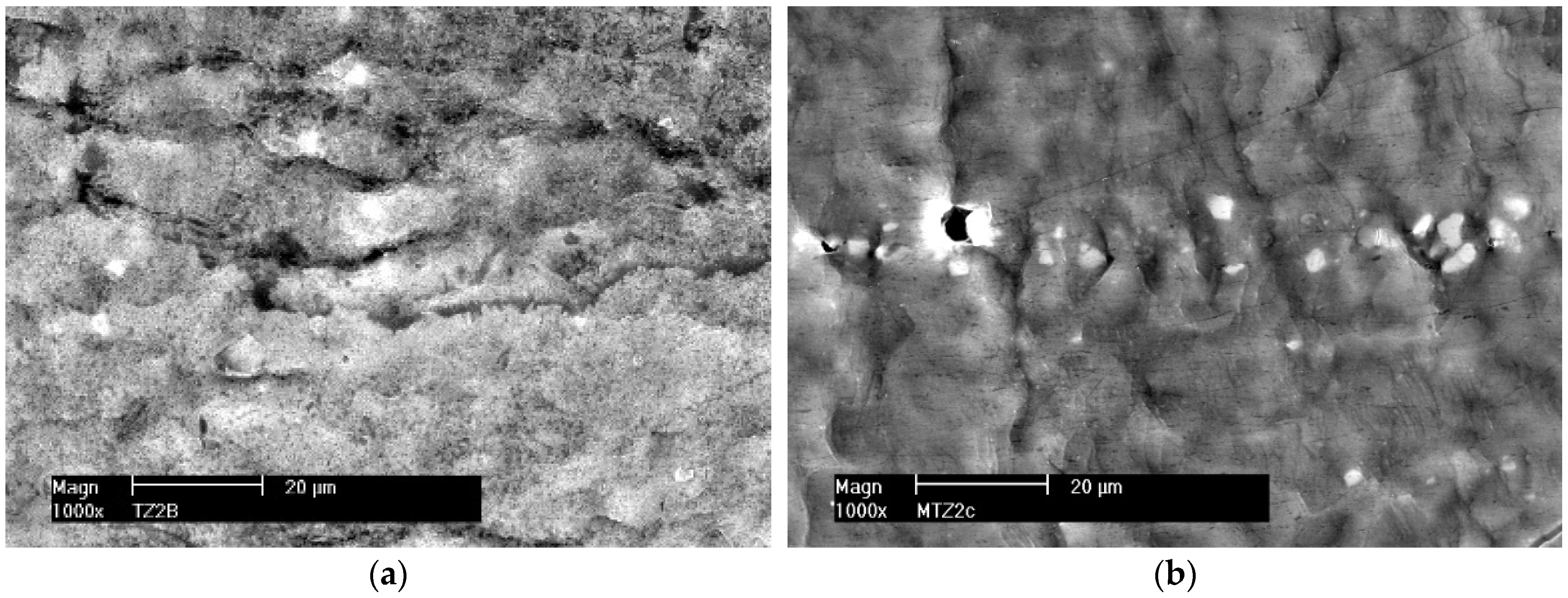 Materials 16 02643 g009 Materials 16 02643 g009