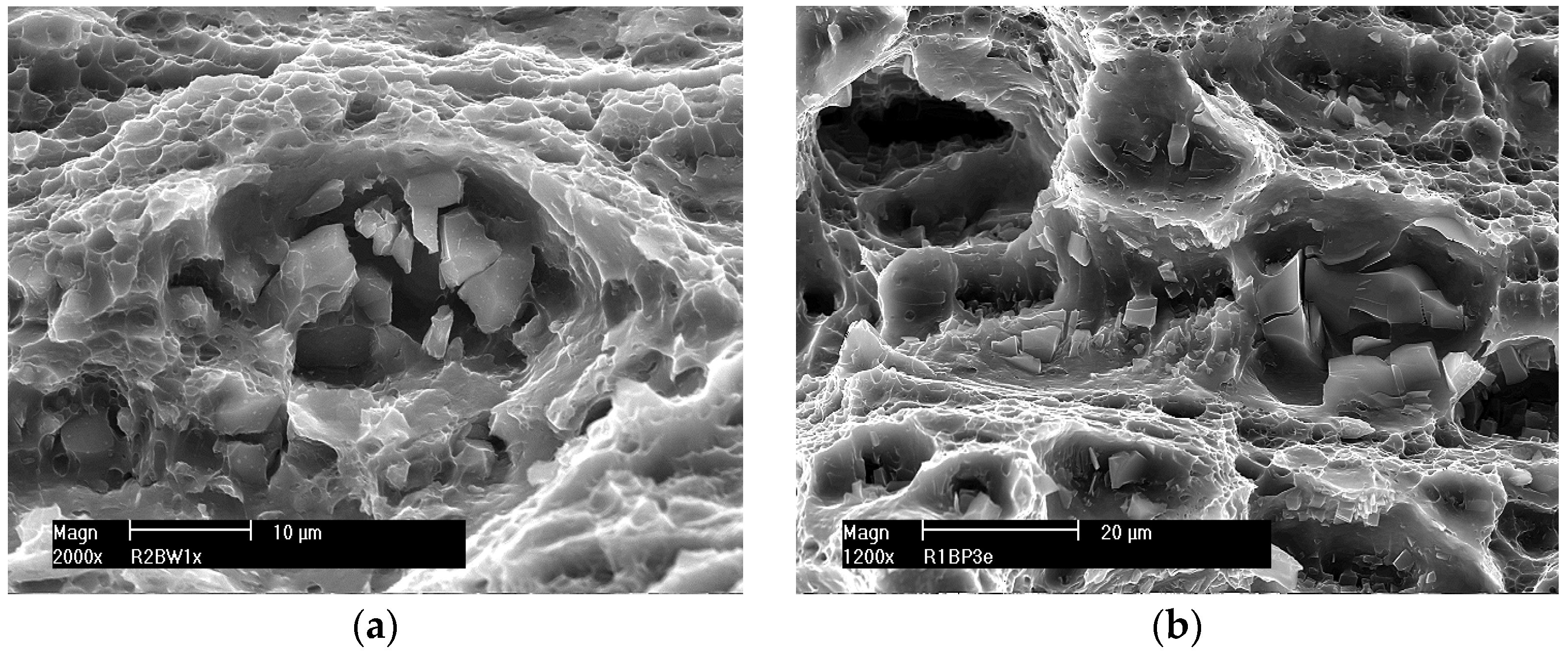 Materials 16 02643 g016 Materials 16 02643 g016