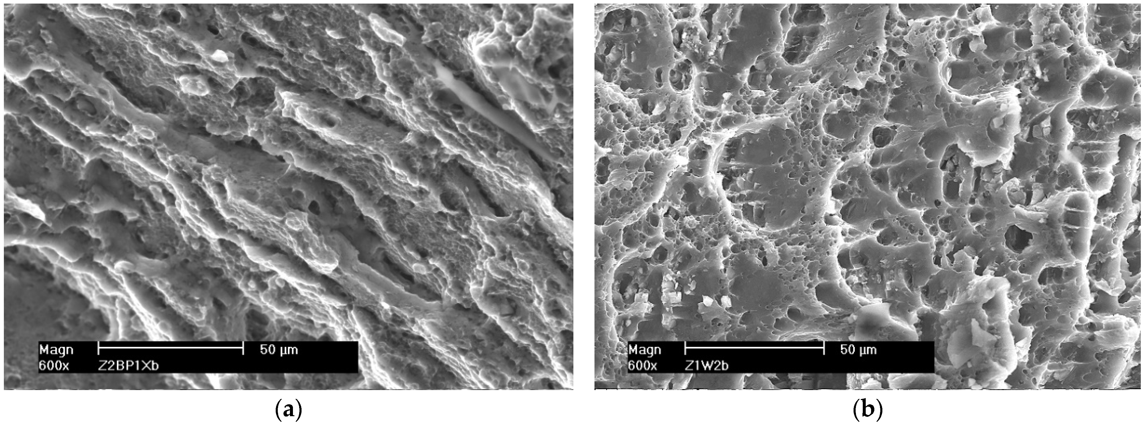 Materials 16 02643 g020 Materials 16 02643 g020