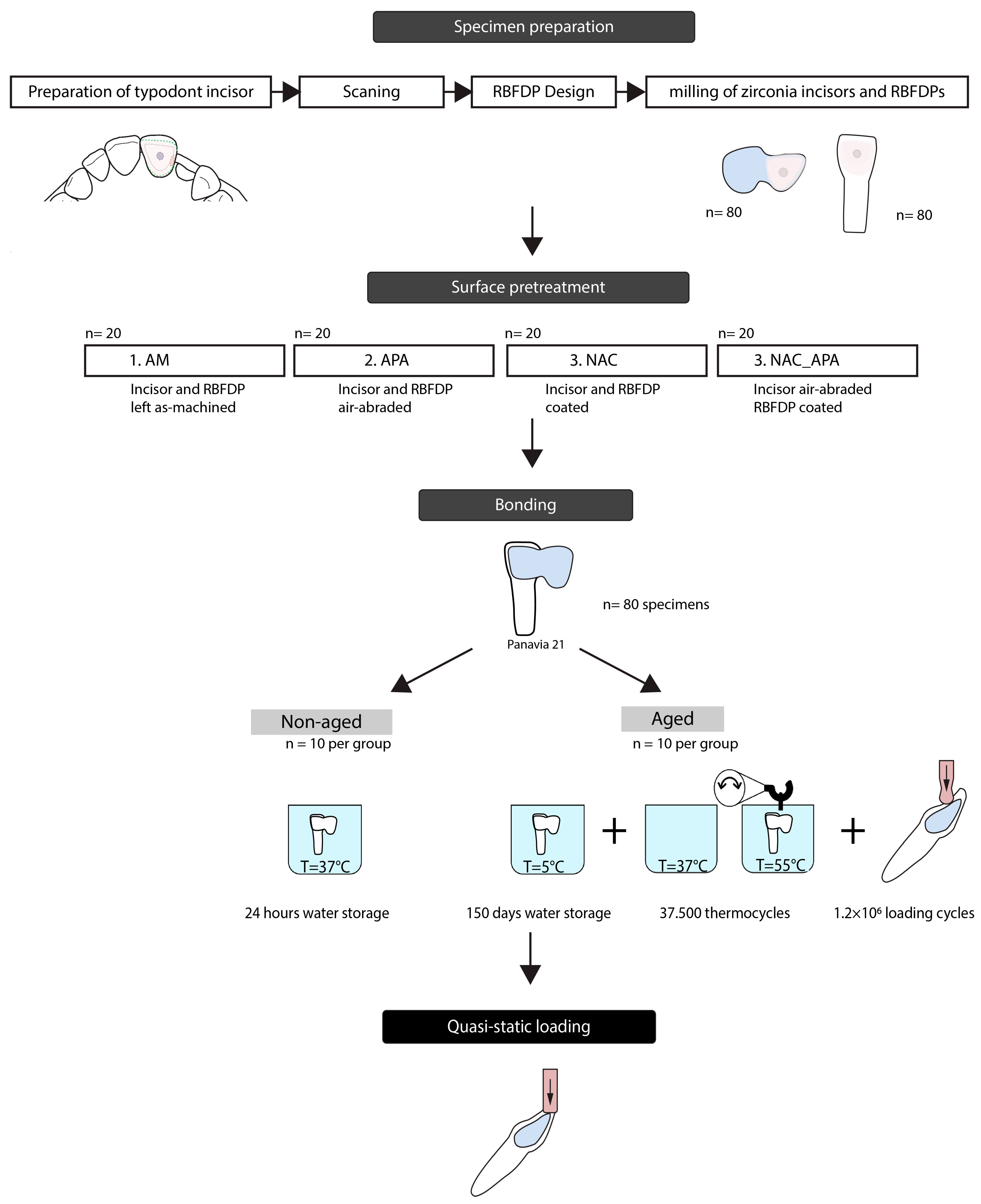 Materials 16 02646 g004 Materials 16 02646 g004