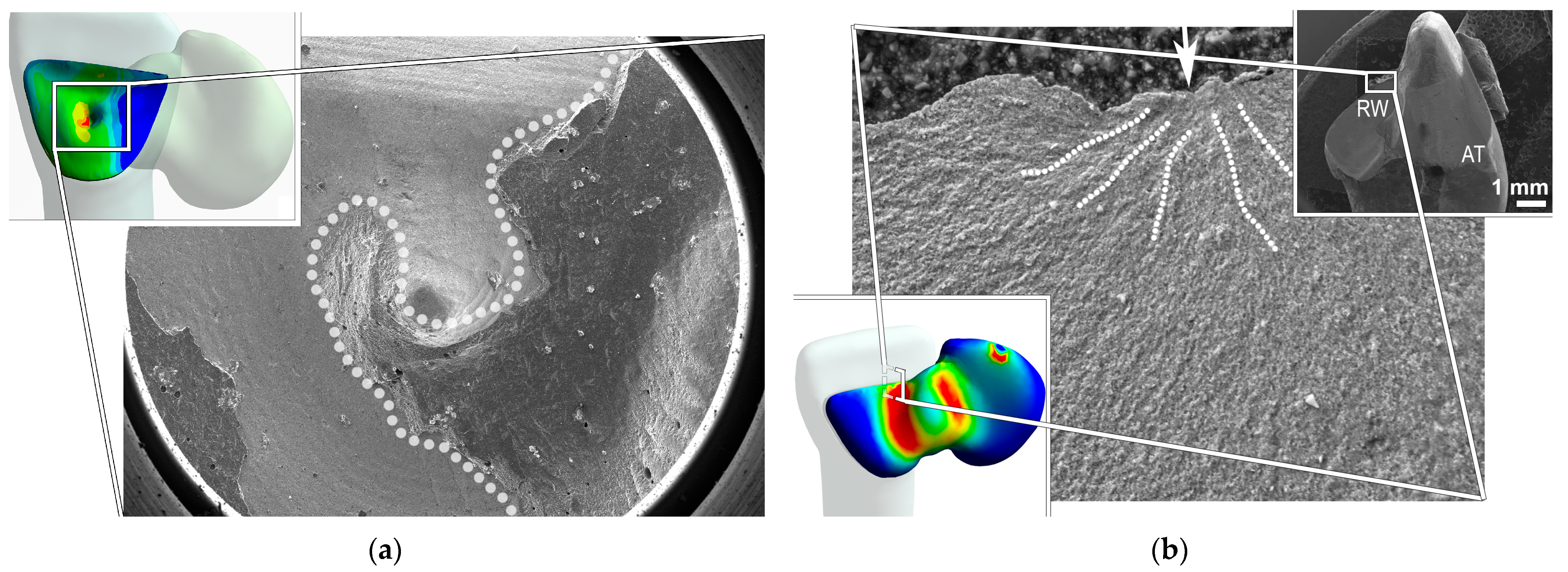 Materials 16 02646 g009 Materials 16 02646 g009