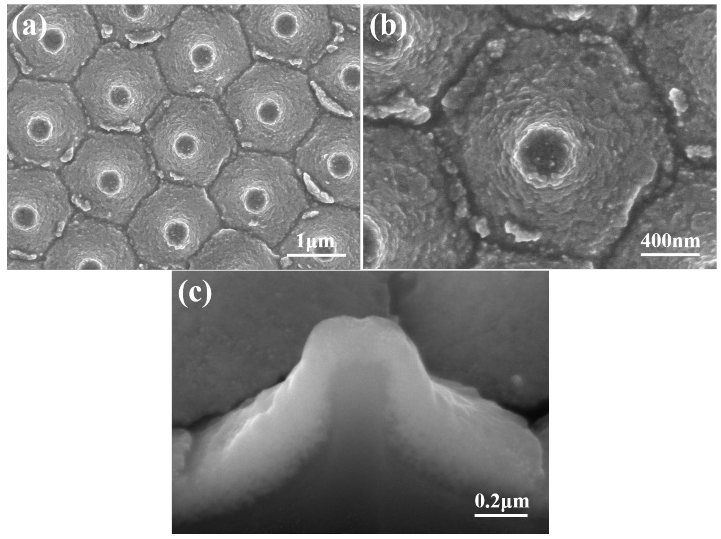 Materials 16 02647 g003