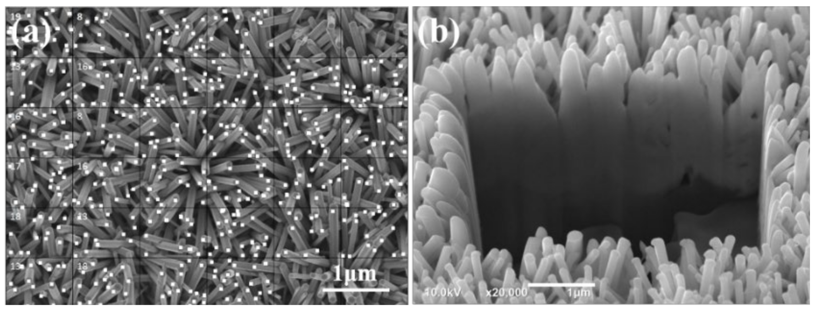 Materials 16 02647 g005