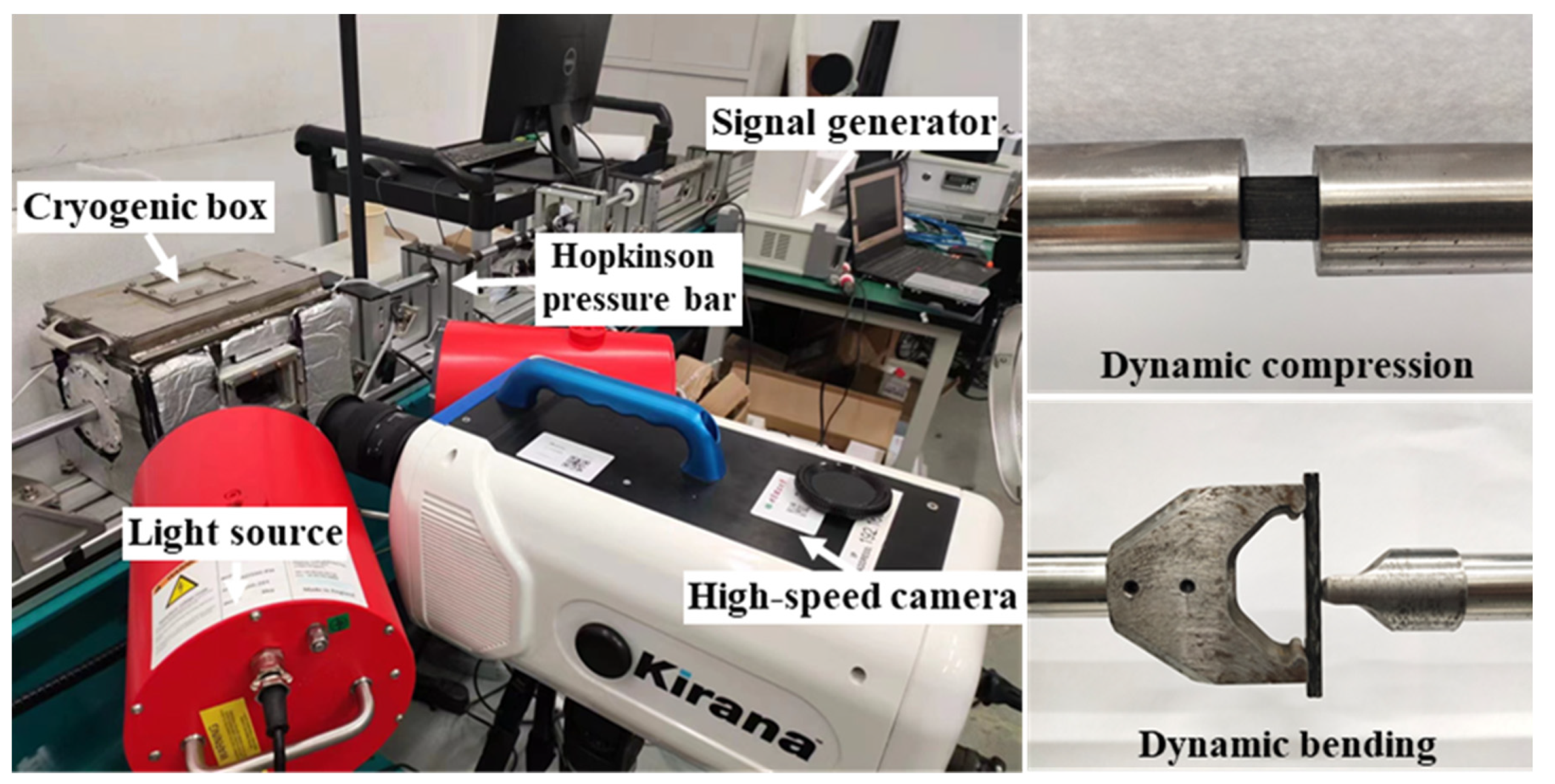 Study on Dynamic Mechanical Properties of Carbon Fiber-Reinforced 