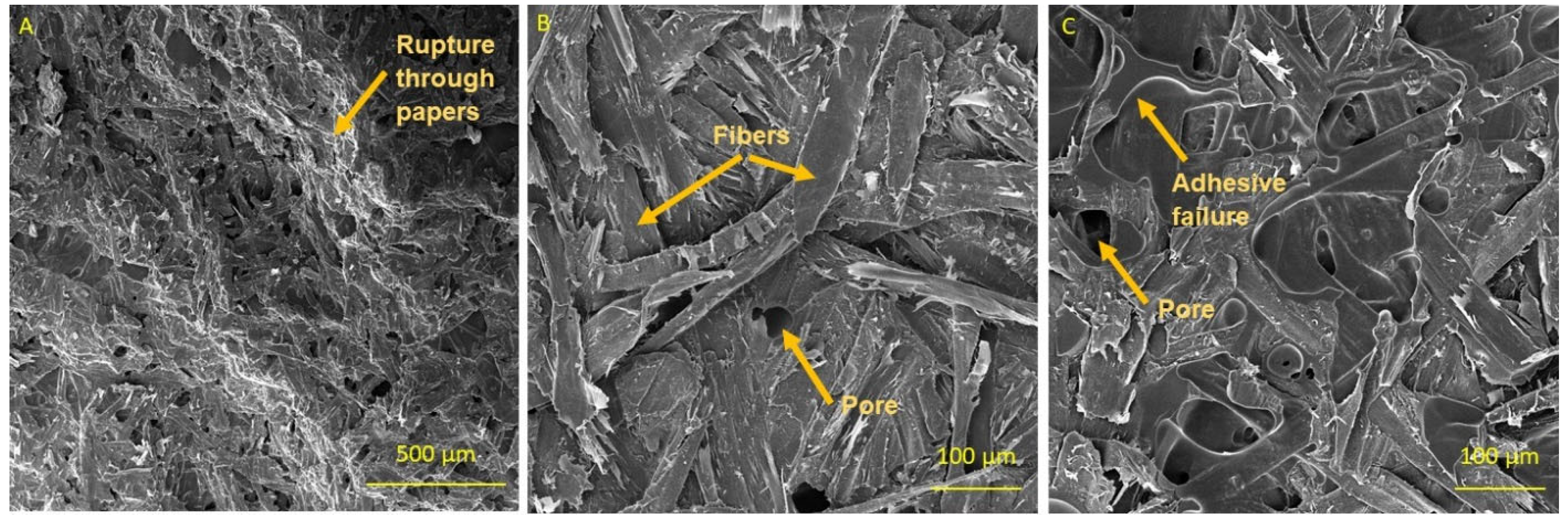 Materials 16 02669 g006 Materials 16 02669 g006
