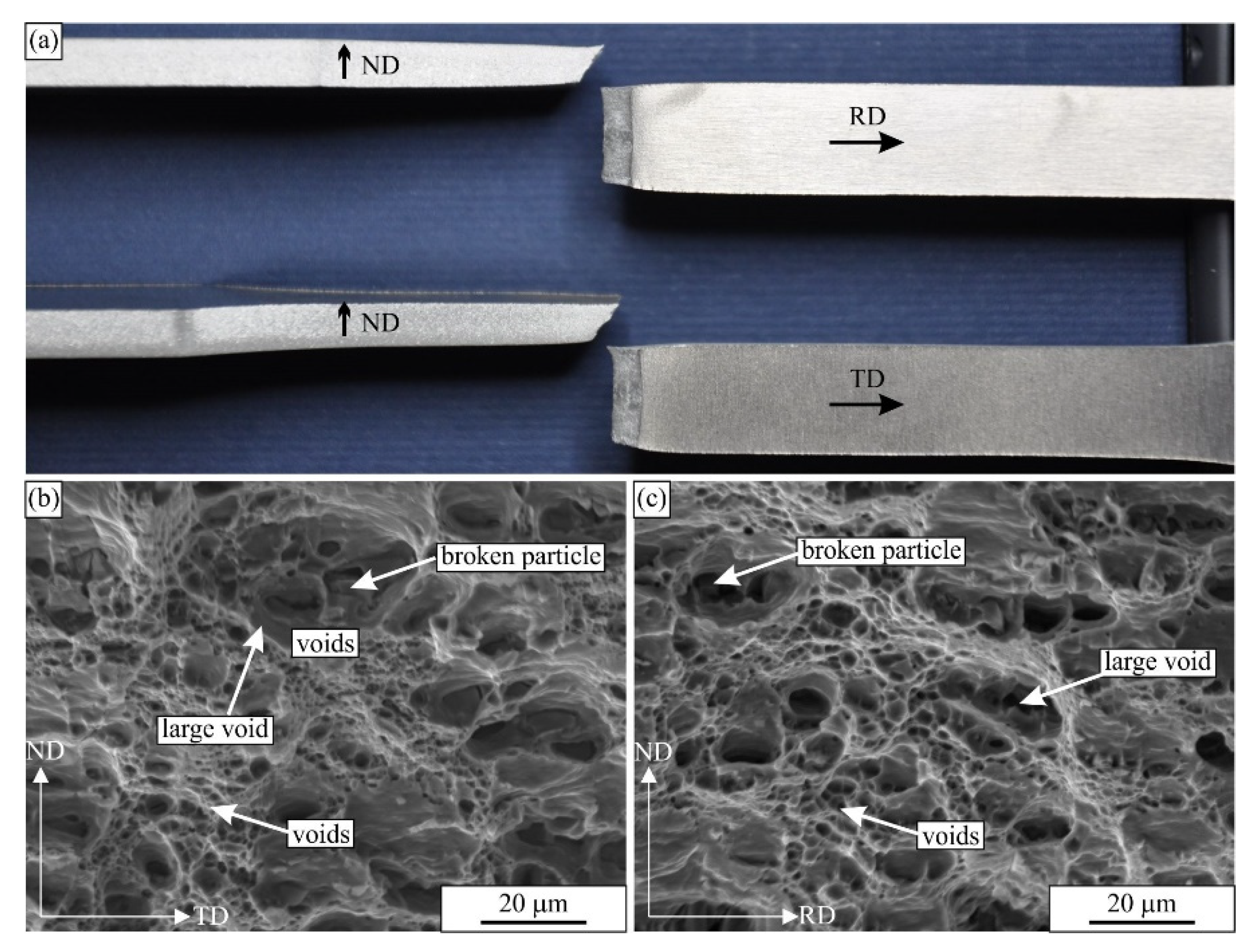 Materials 16 02674 g005