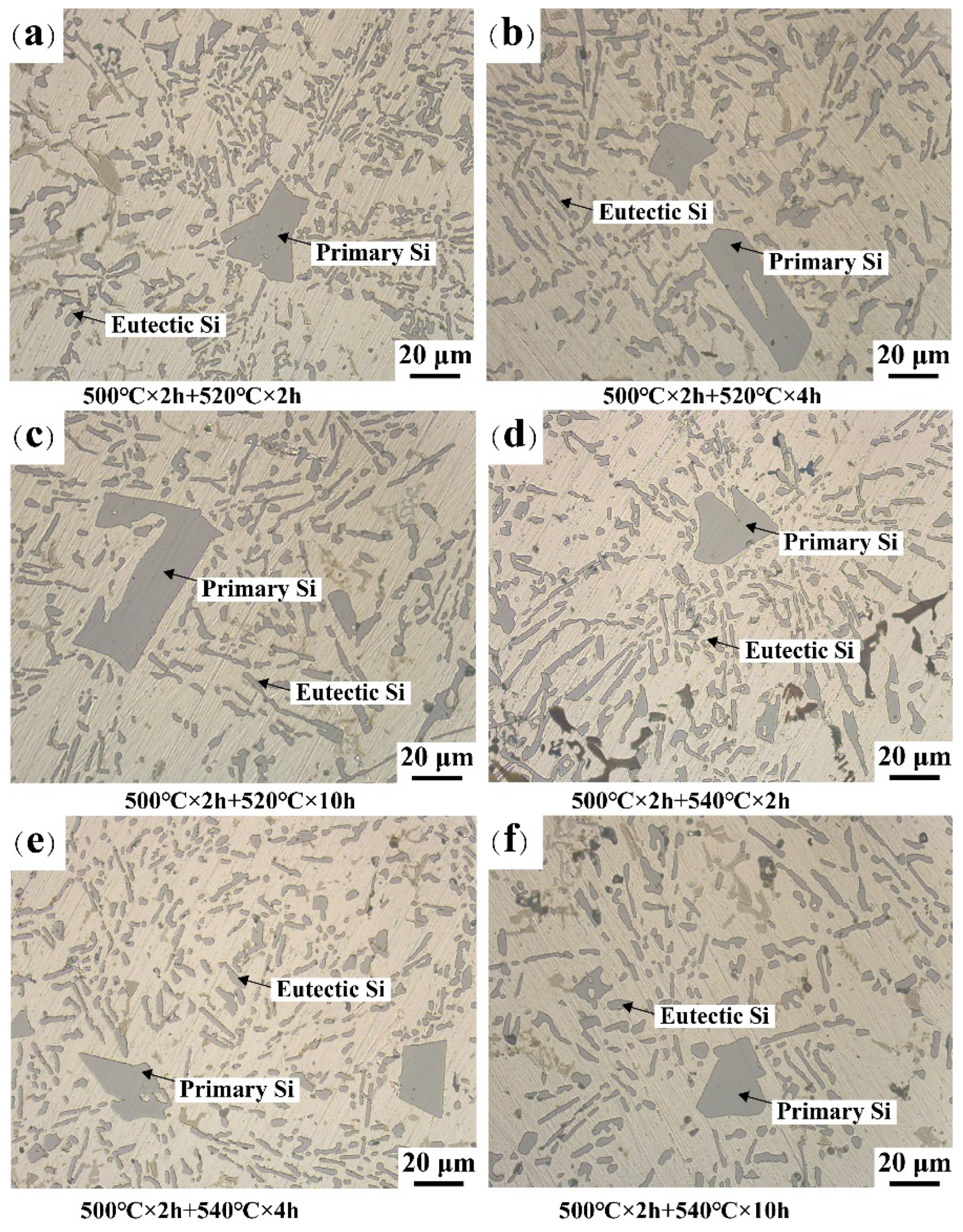 Materials 16 02675 g007 Materials 16 02675 g007