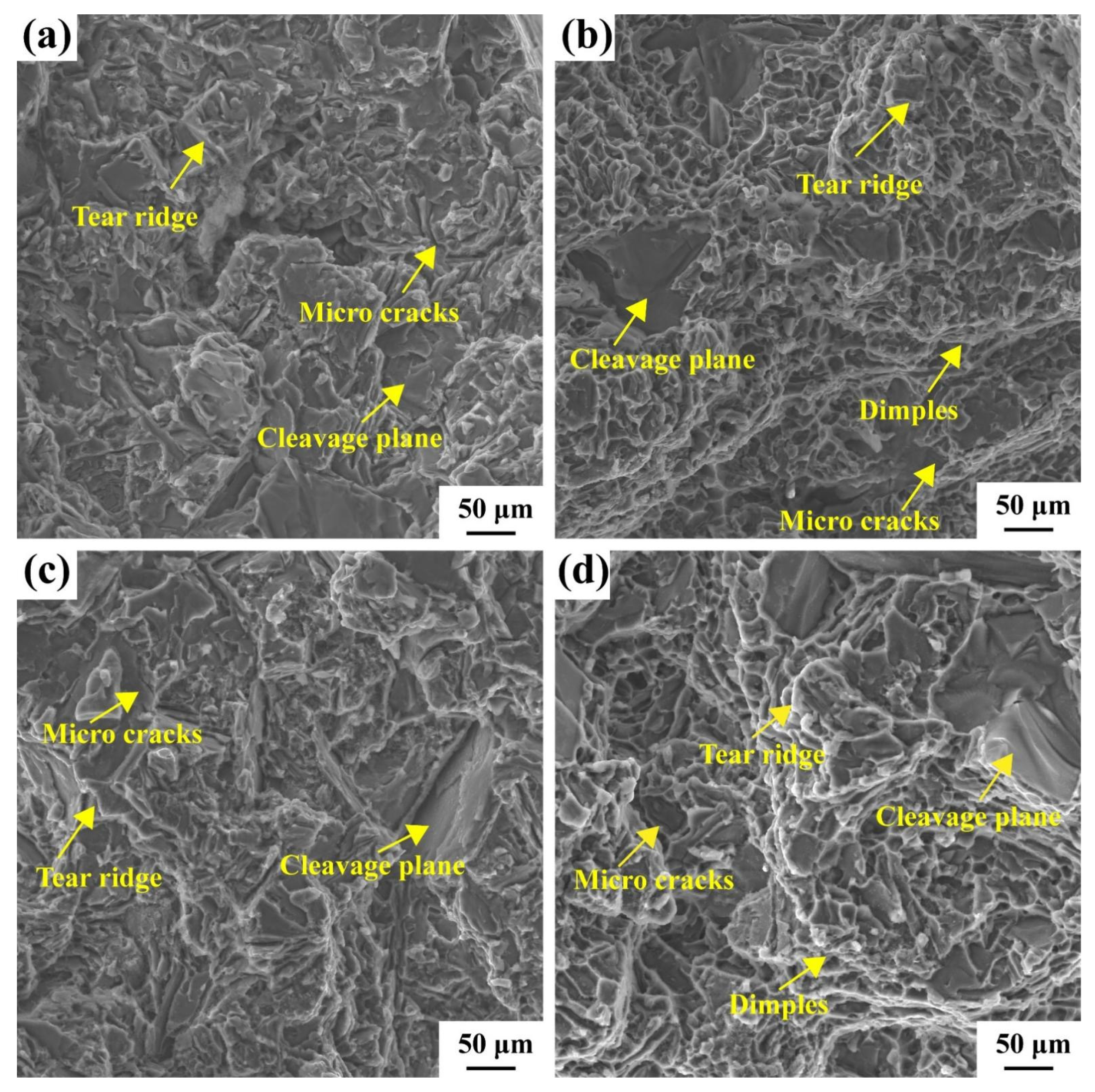 Materials 16 02675 g014 Materials 16 02675 g014