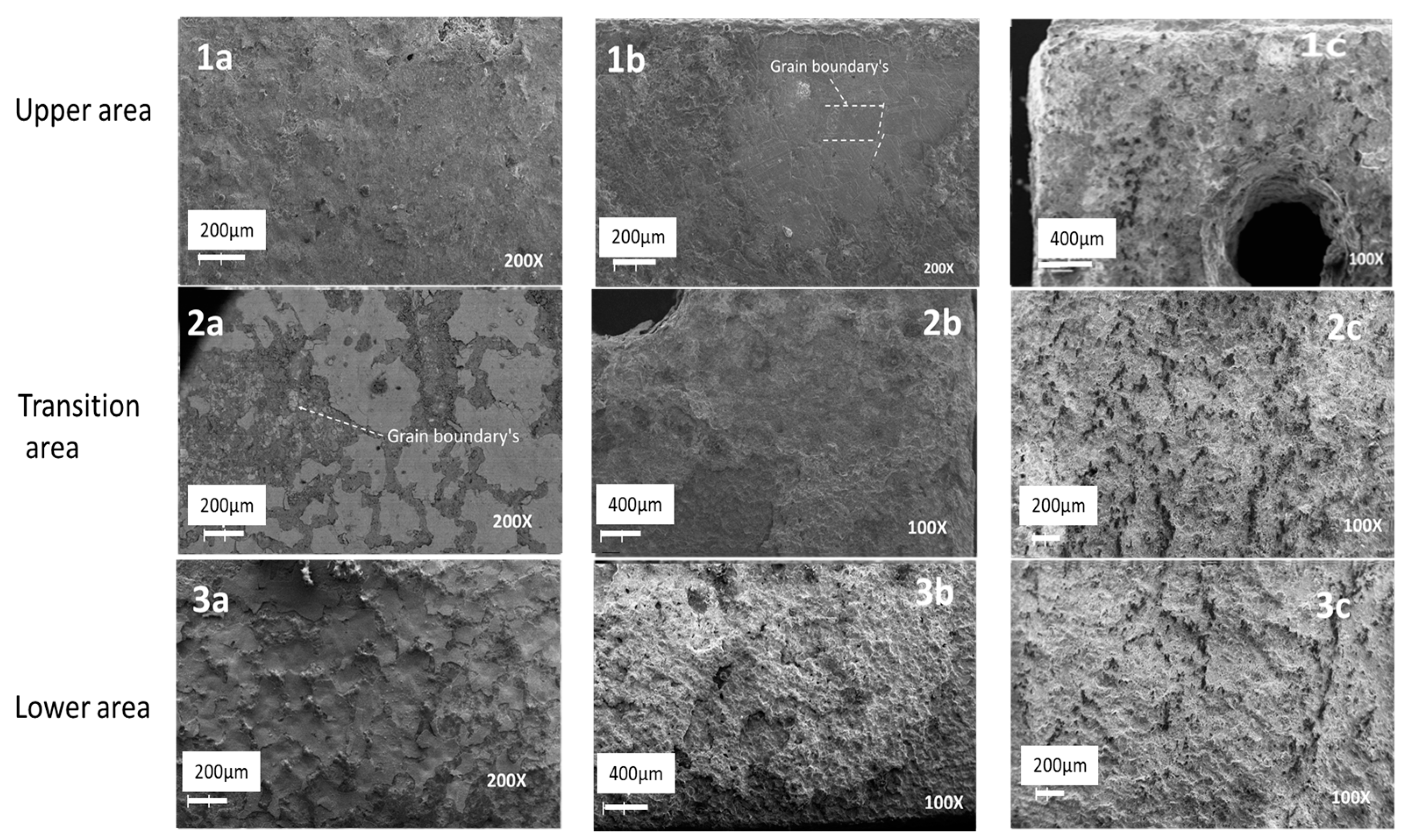 Materials 16 02679 g004 550