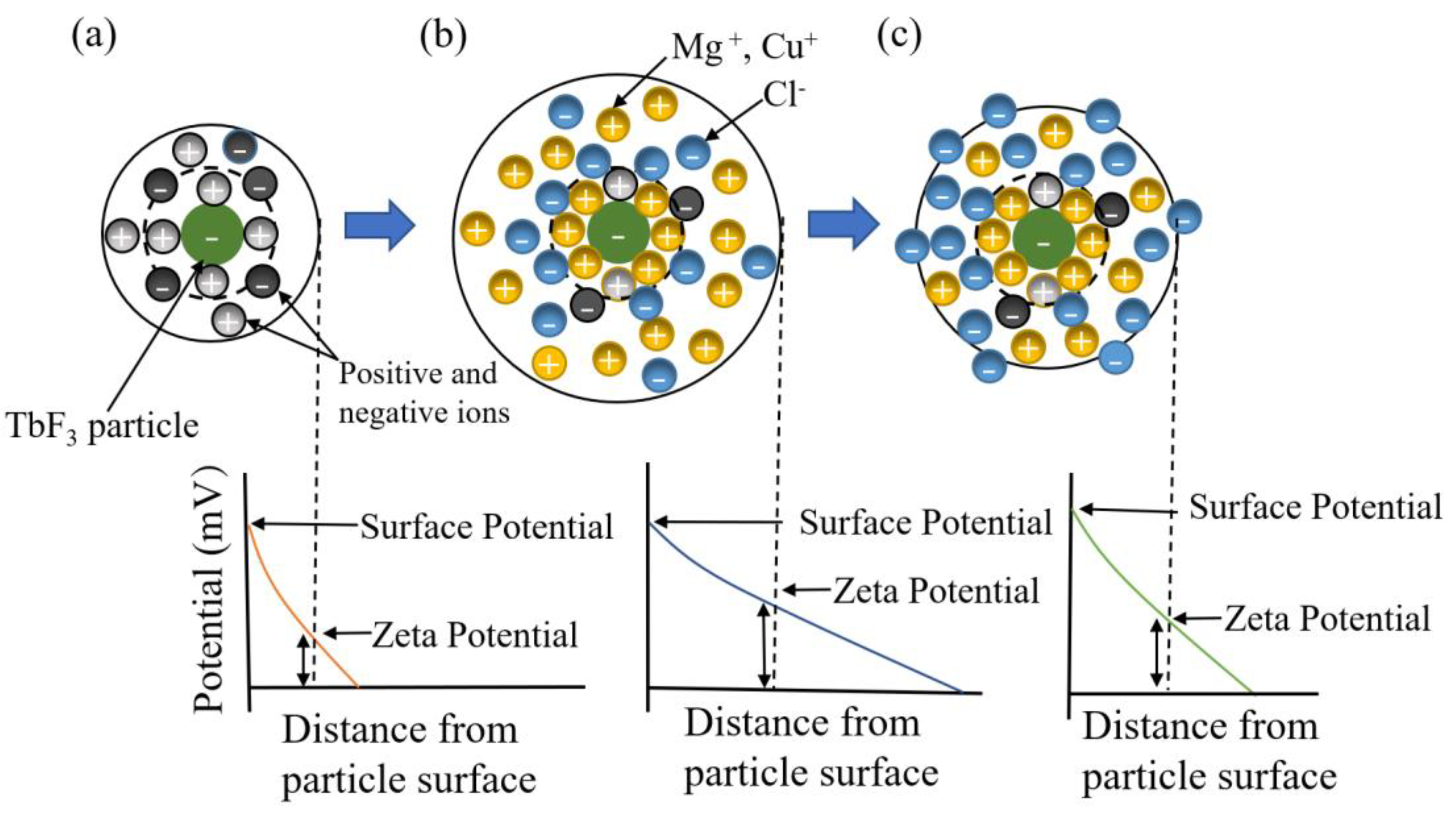 Materials 16 02682 g007 Materials 16 02682 g007
