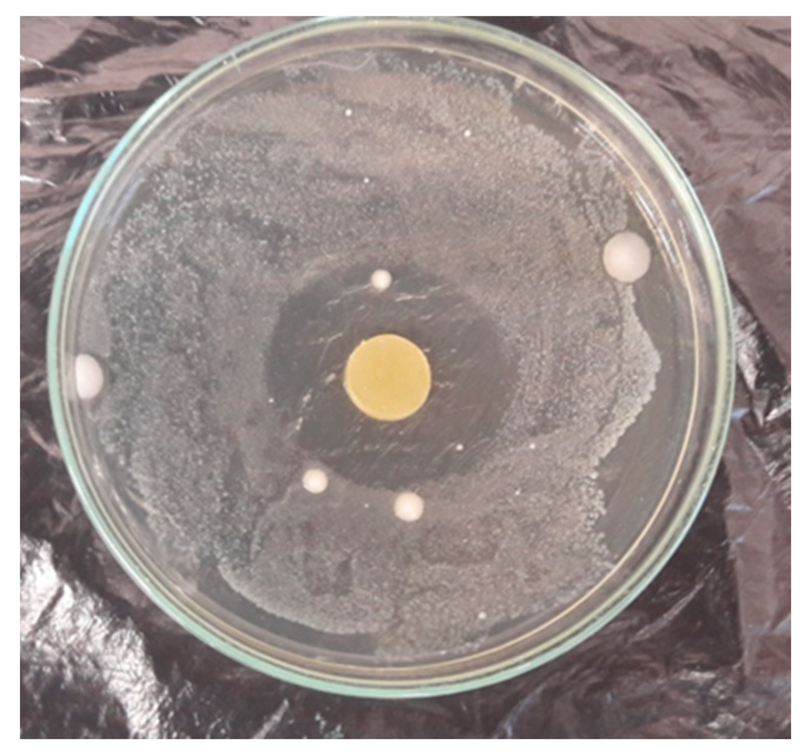 Materials 16 02698 g010 Materials 16 02698 g010