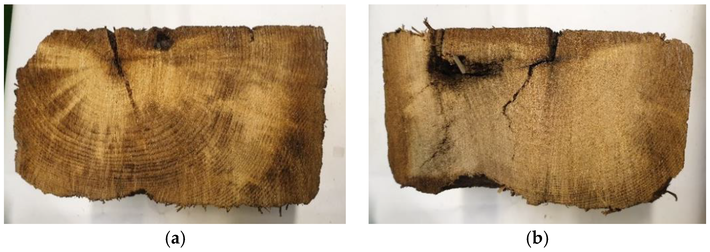 Materials Free FullText Pyrolysis and Torrefaction—Thermal