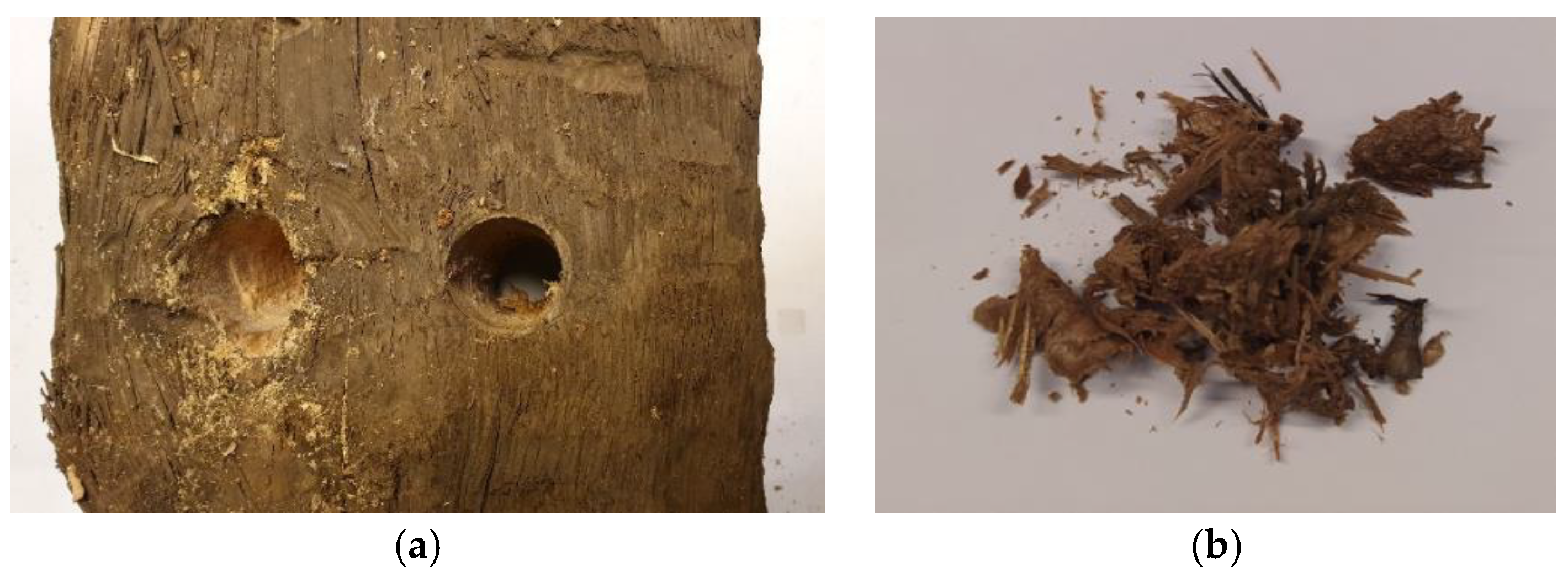 Materials 16 02704 g002 Materials 16 02704 g002