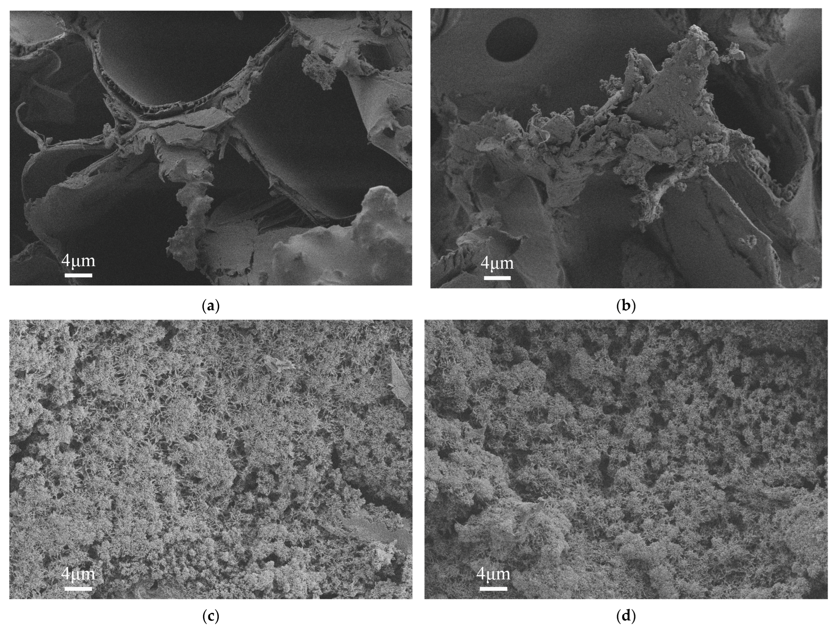 Materials 16 02711 g004 Materials 16 02711 g004