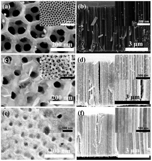 Multifunctional TiO2 Nanotube-Matrix Composites with