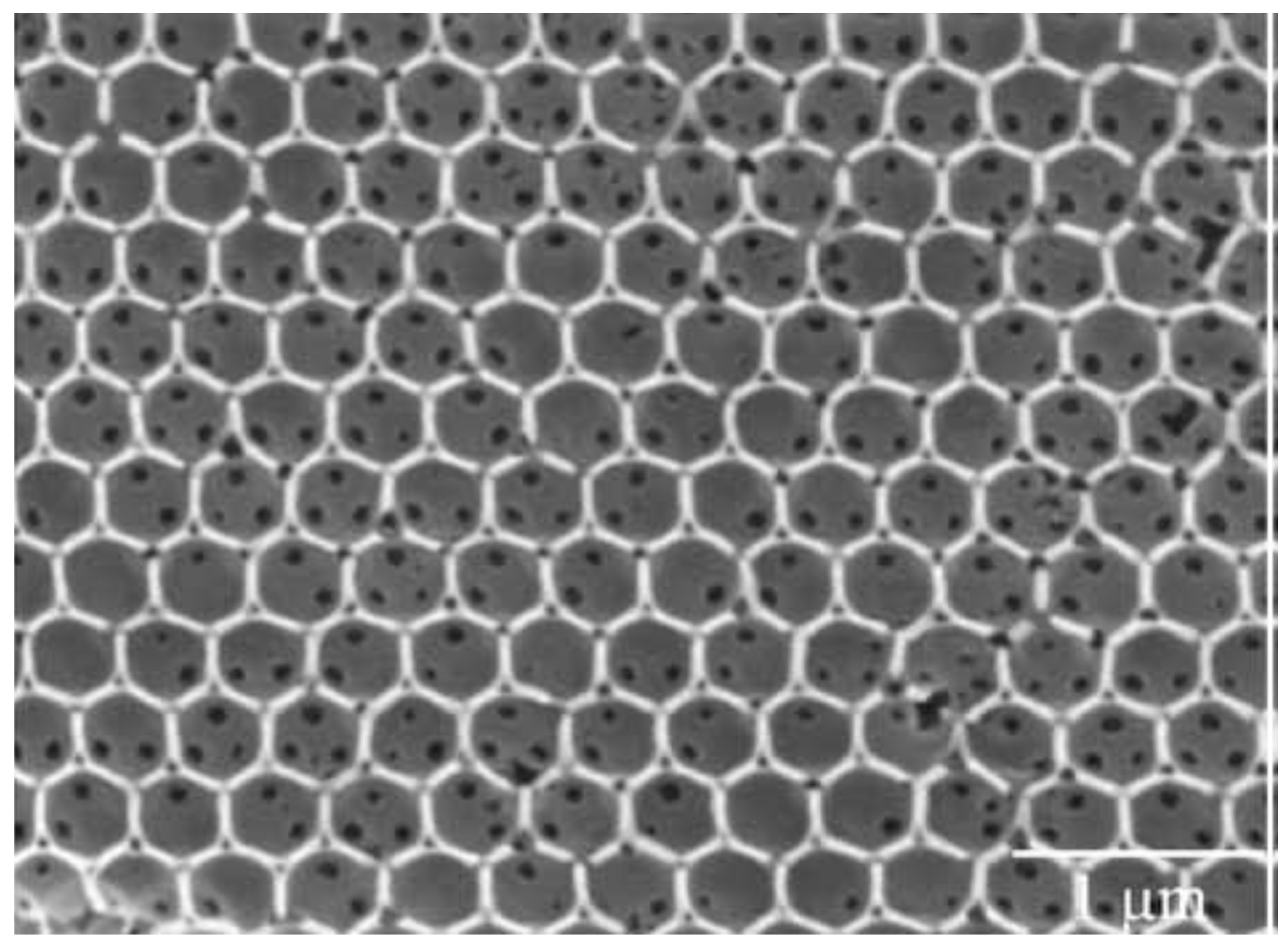 Materials 16 02724 g008 Materials 16 02724 g008