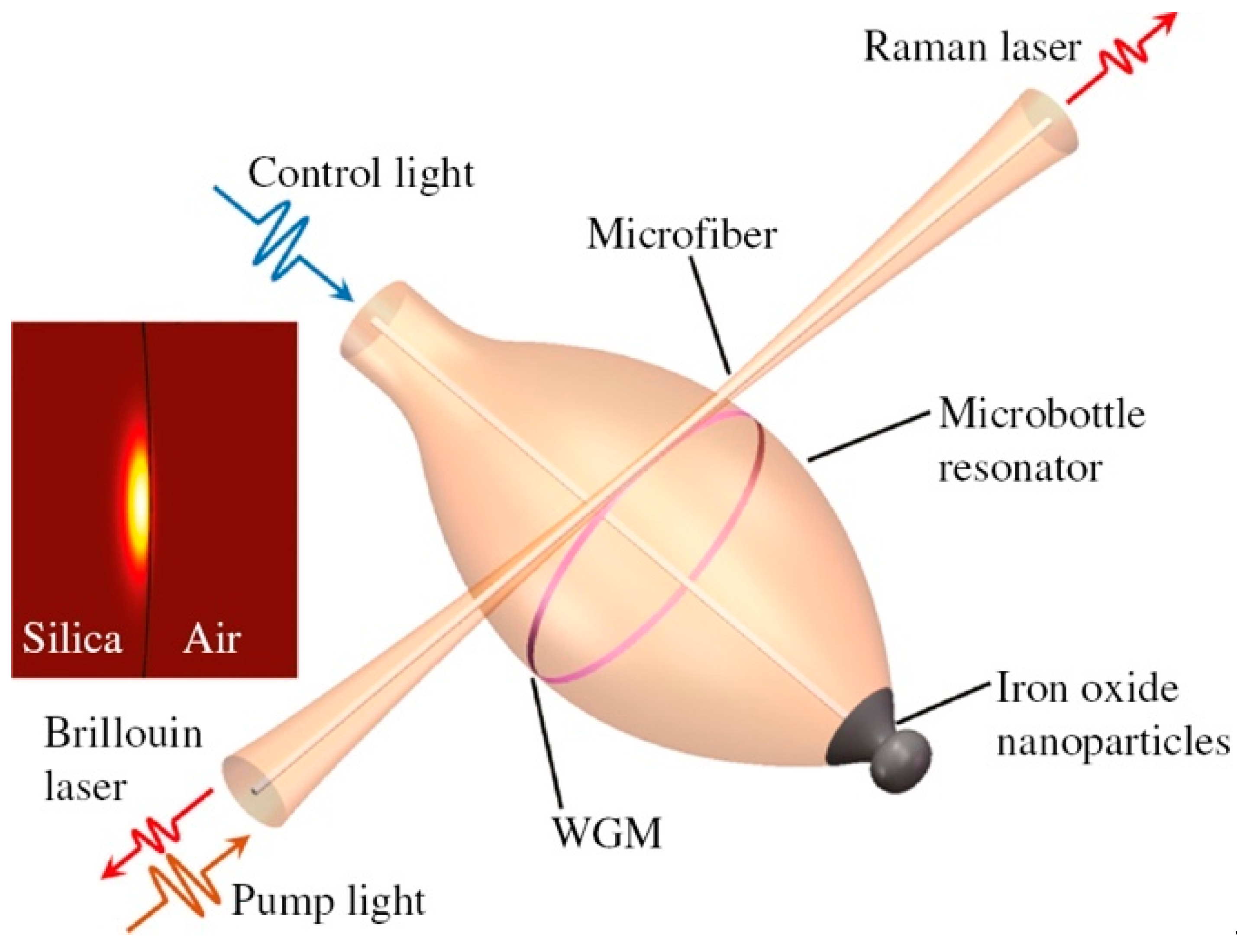 Materials 16 02724 g011 Materials 16 02724 g011