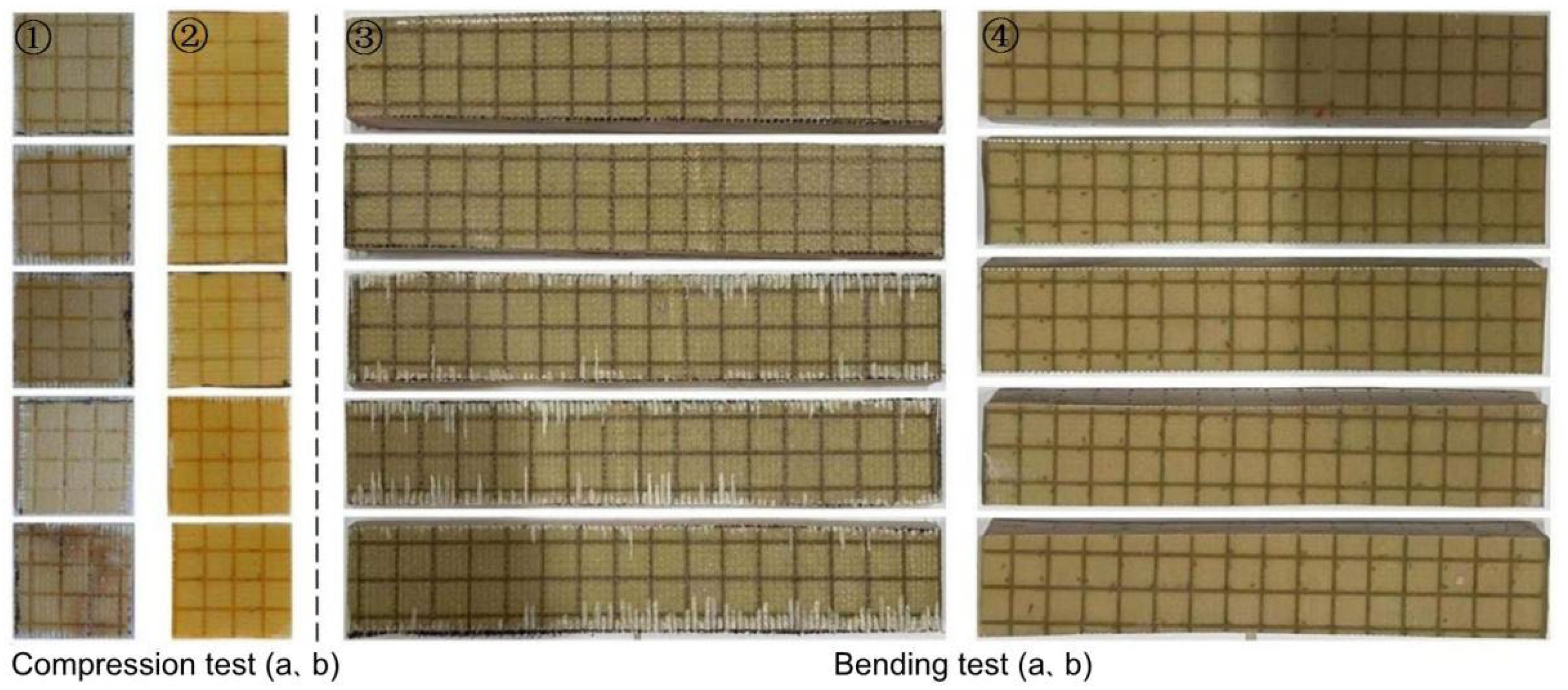 Materials 16 02729 g019