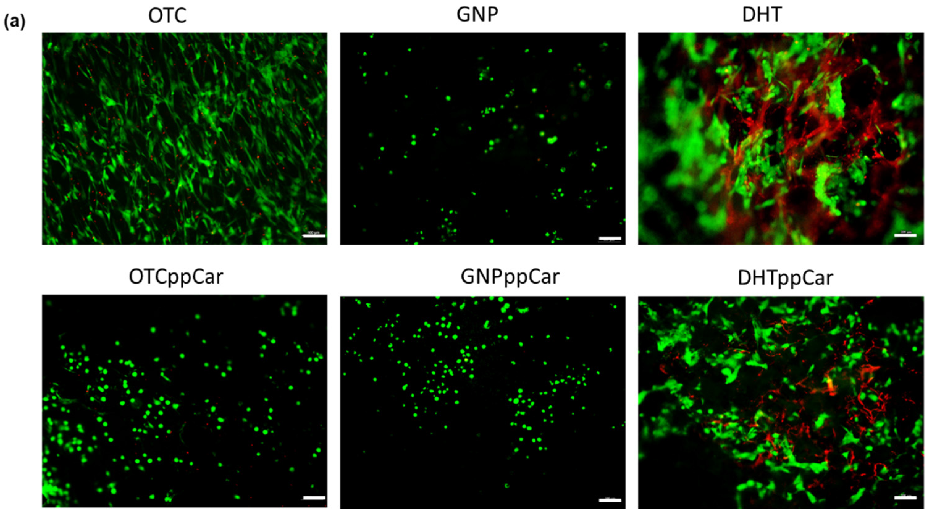 Materials 16 02739 g009a
