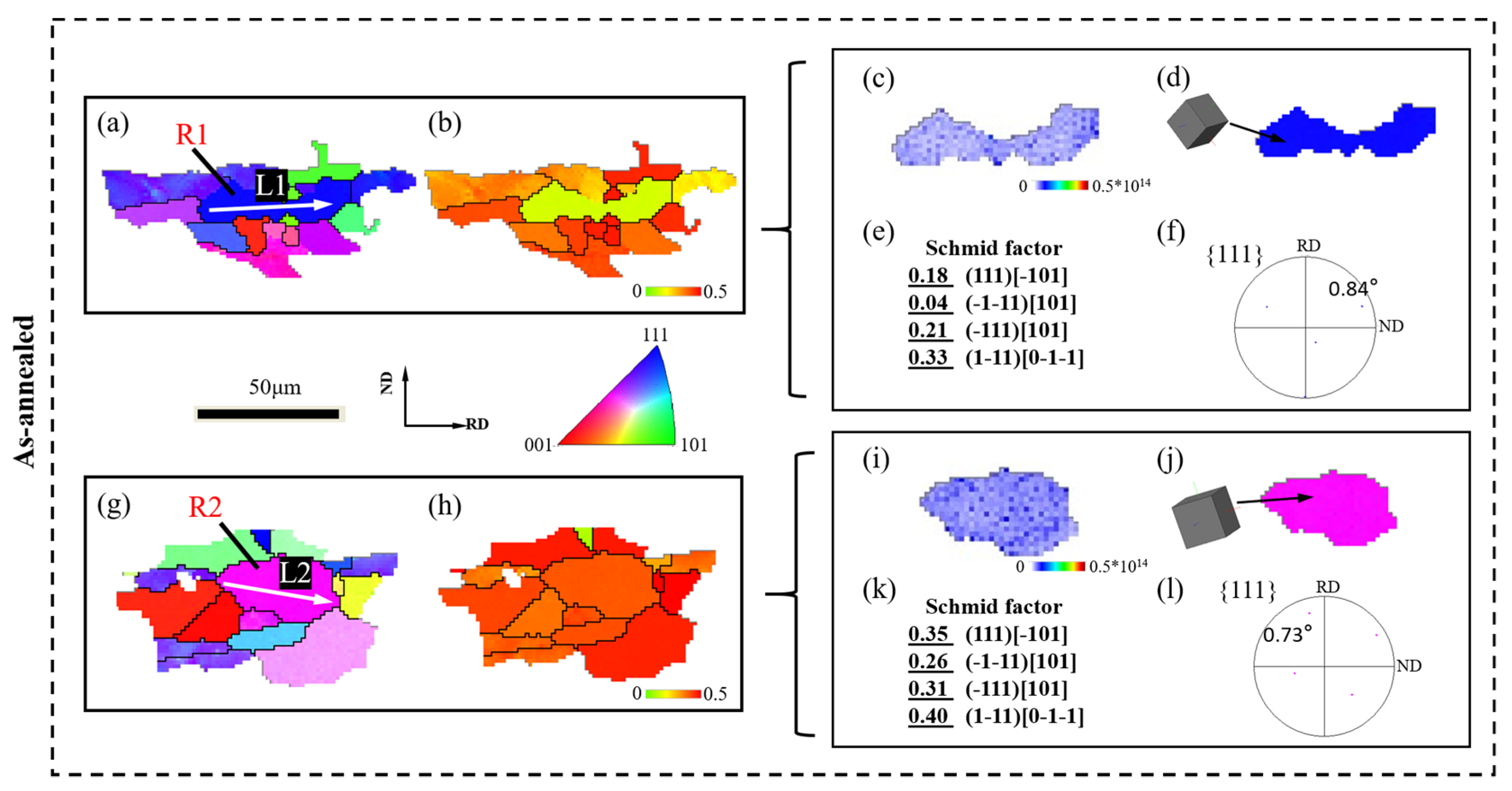 Materials 16 02754 g008
