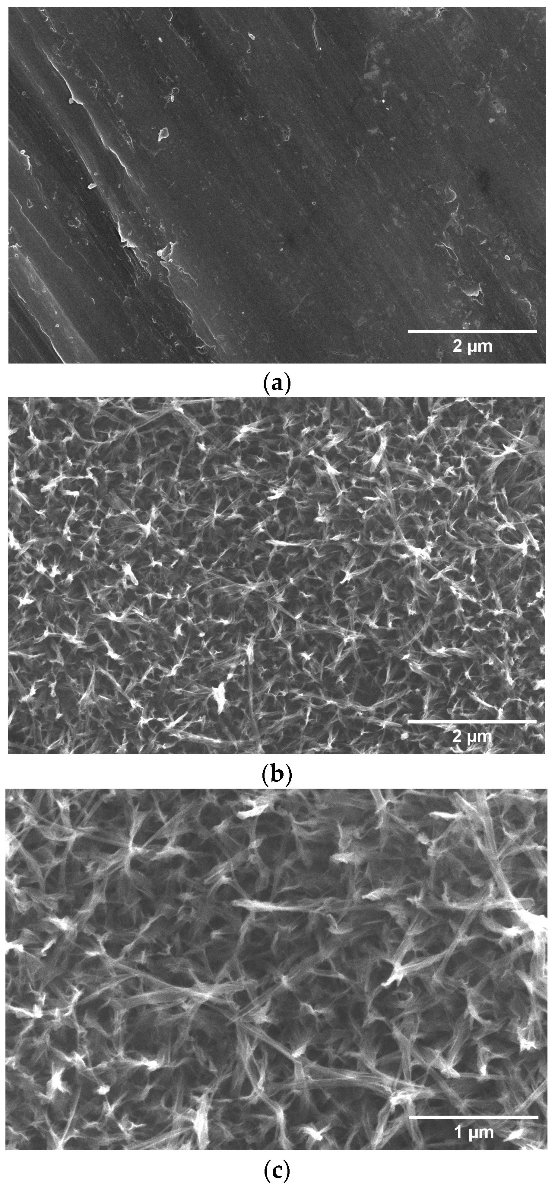 Materials 16 02755 g001 Materials 16 02755 g001