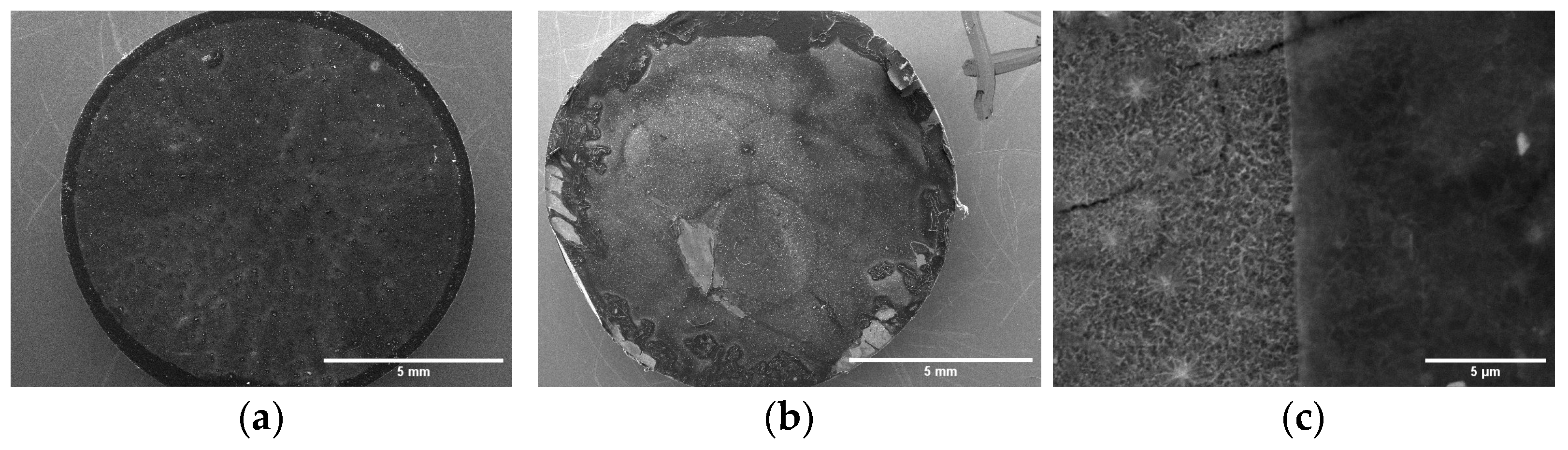 Materials 16 02755 g011 Materials 16 02755 g011