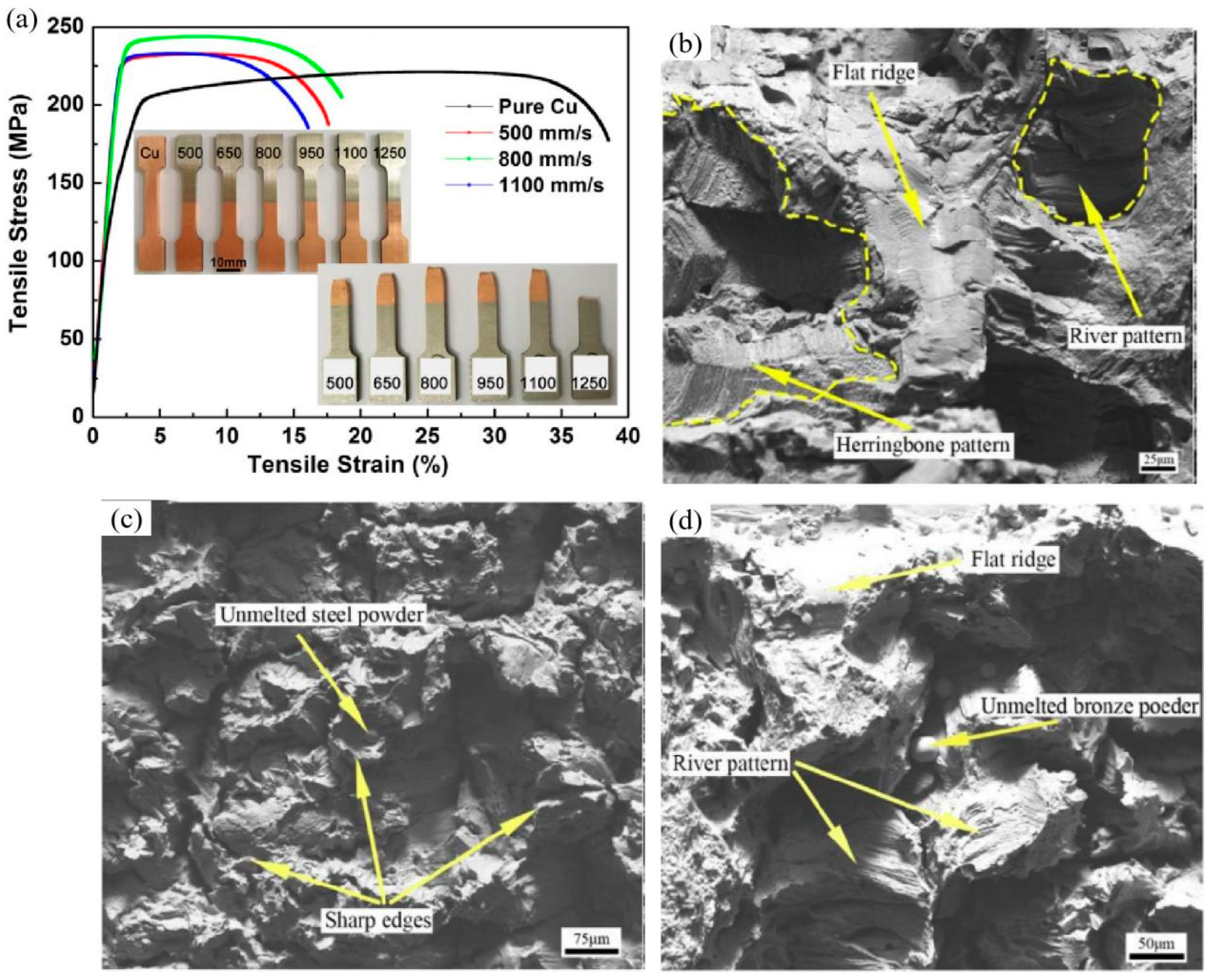 Materials 16 02757 g010 Materials 16 02757 g010