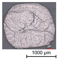 Materials 16 02767 i013