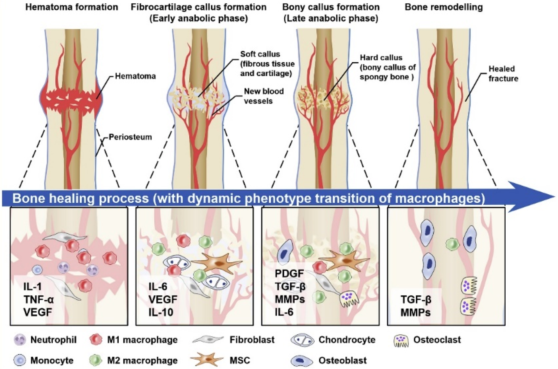 Materials 16 02799 g002 Materials 16 02799 g002