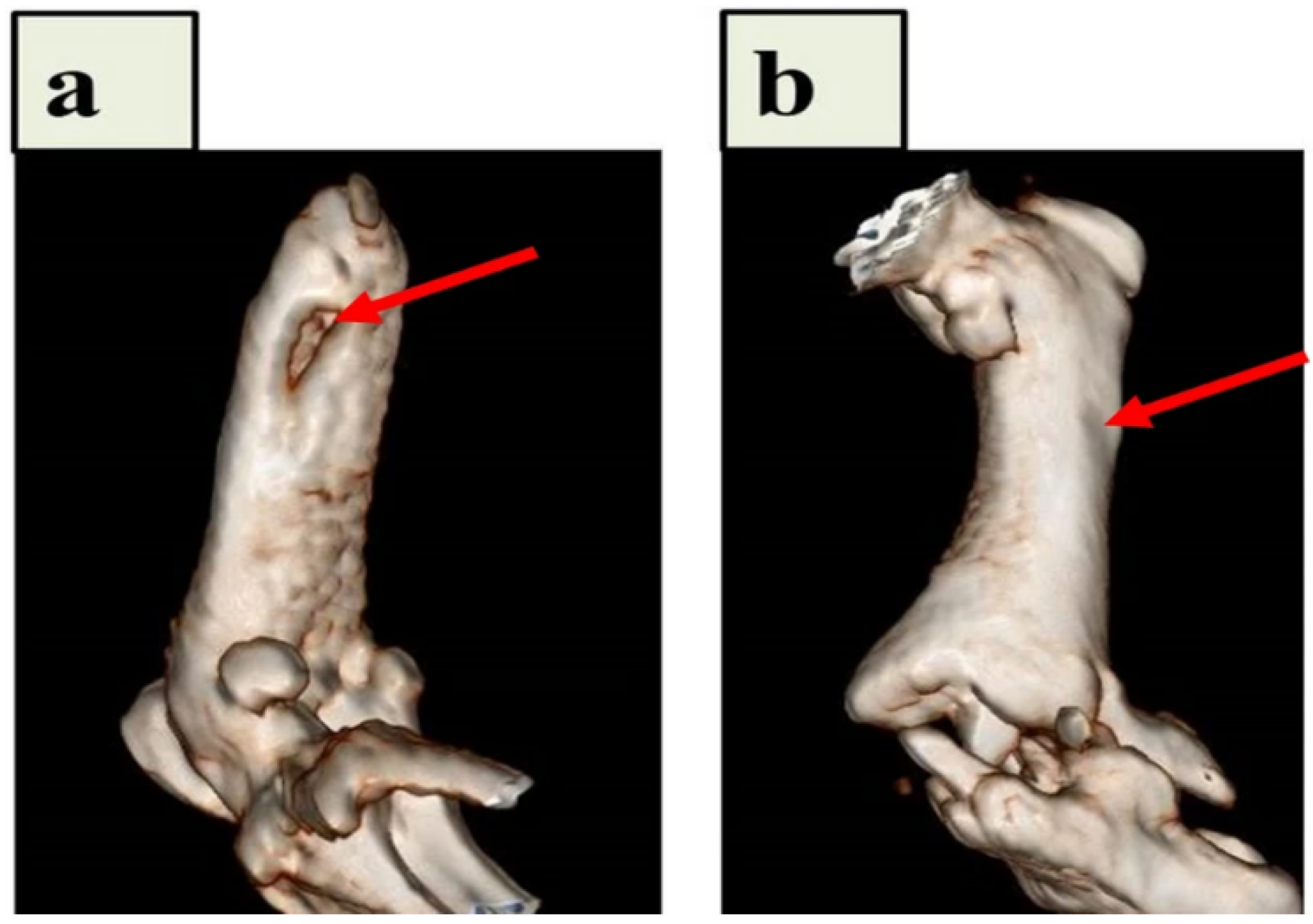 Materials 16 02799 g003 Materials 16 02799 g003