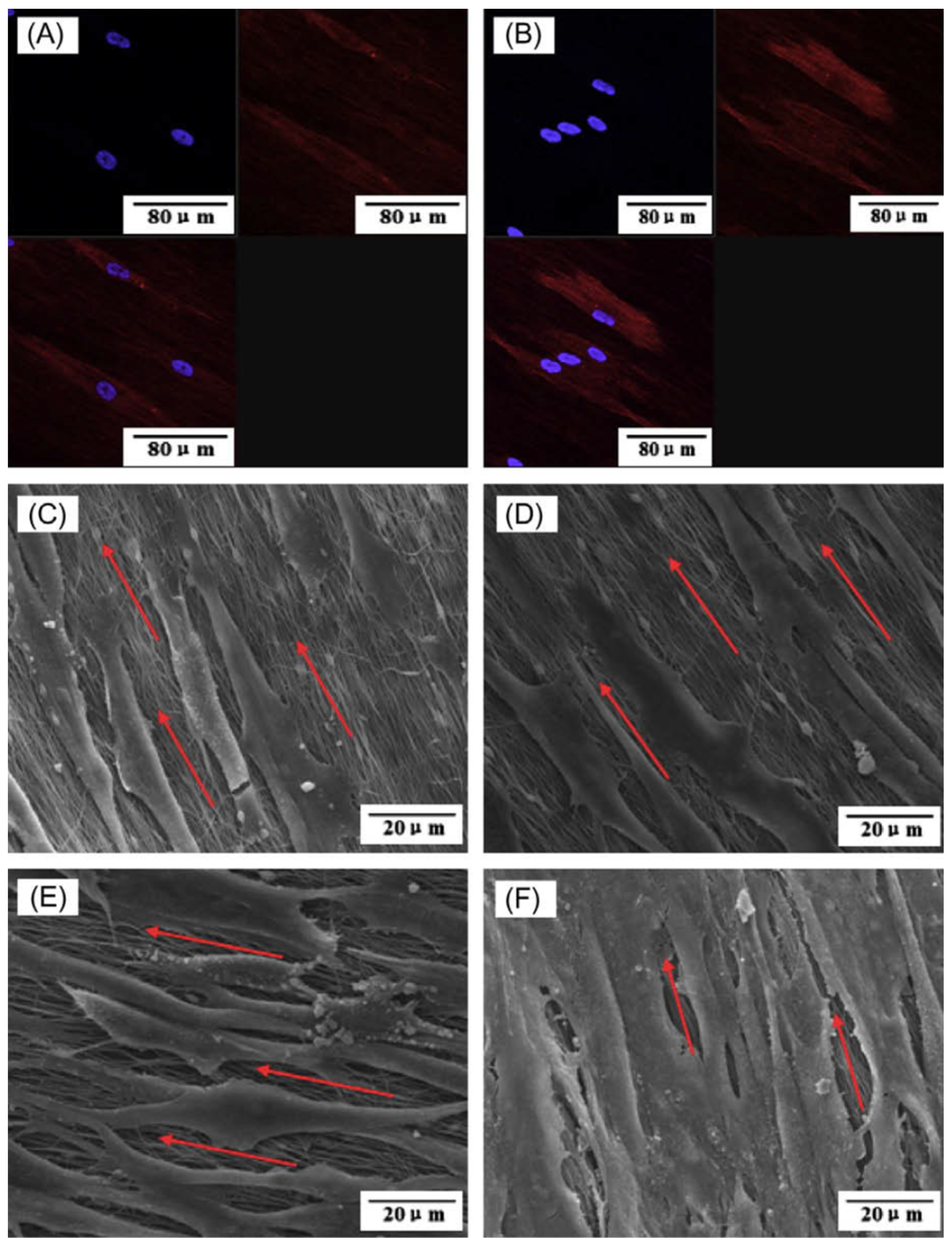 Materials 16 02799 g008 Materials 16 02799 g008