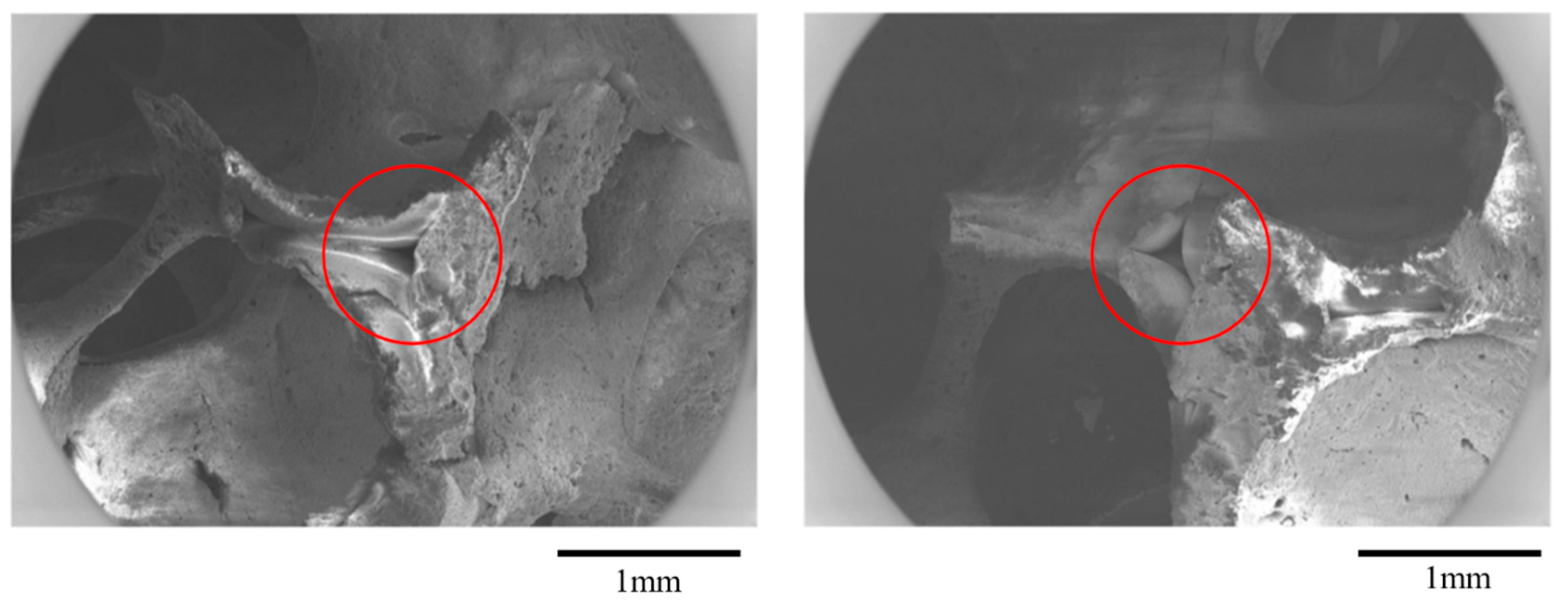 Materials 16 02805 g003 Materials 16 02805 g003