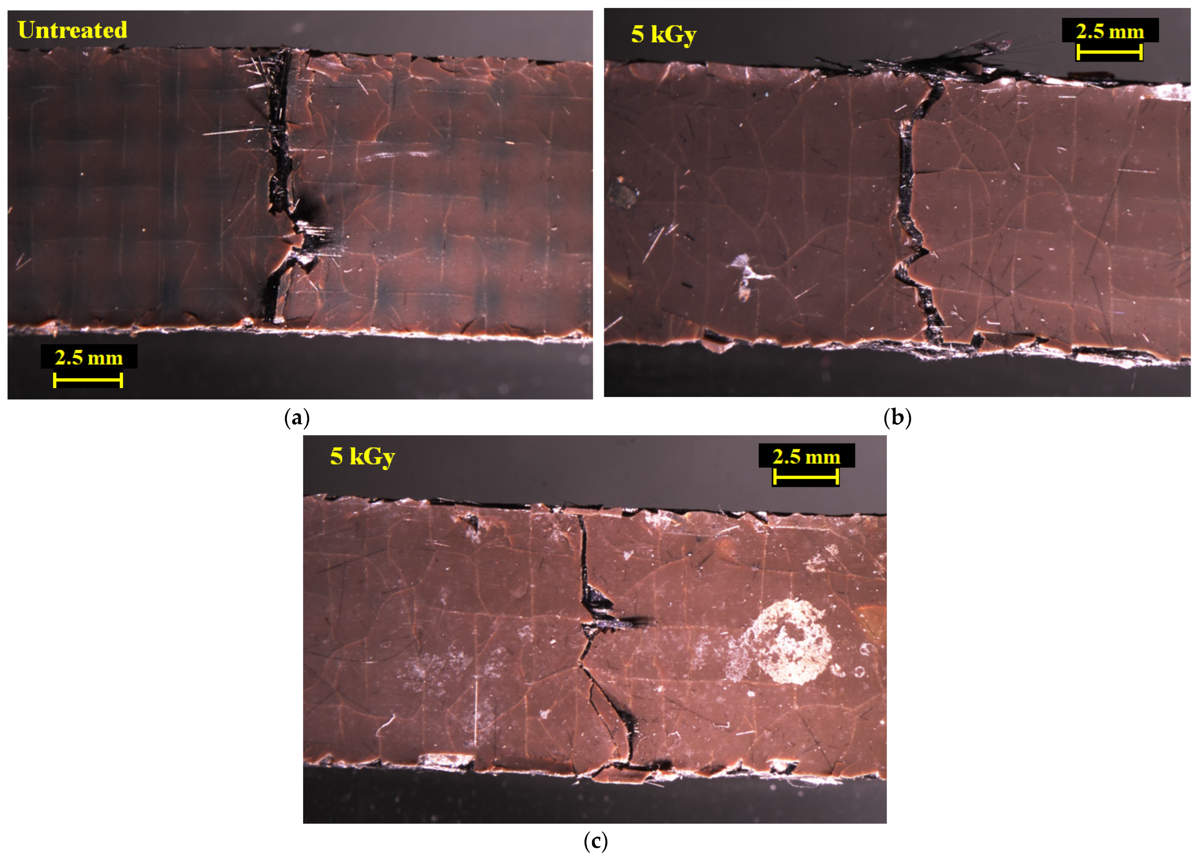 Materials 16 02823 g009 Materials 16 02823 g009