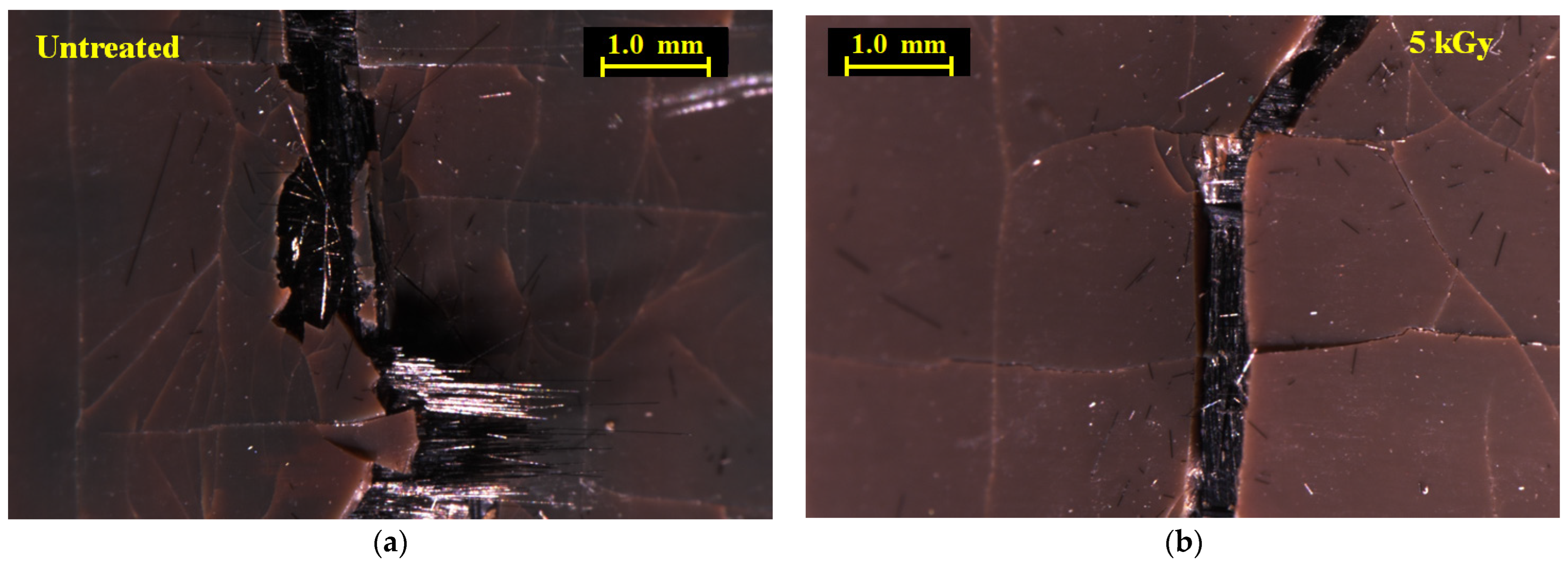 Materials 16 02823 g010 Materials 16 02823 g010