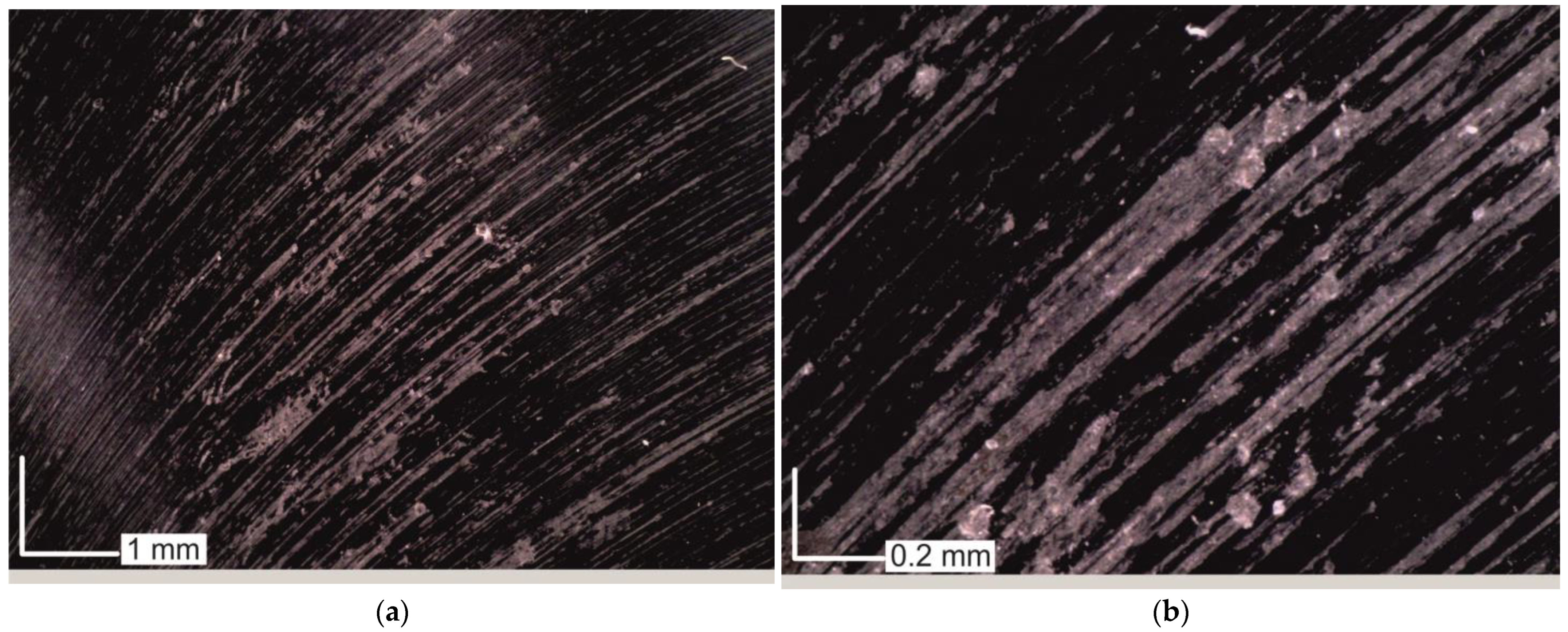 Materials 16 02829 g010