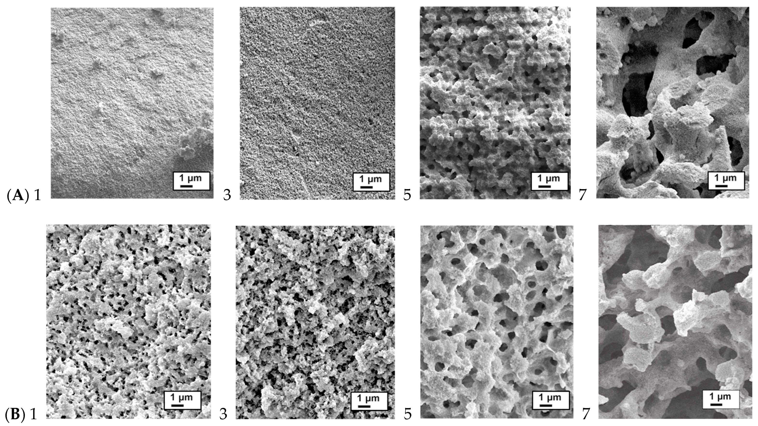 Materials 16 02831 g002