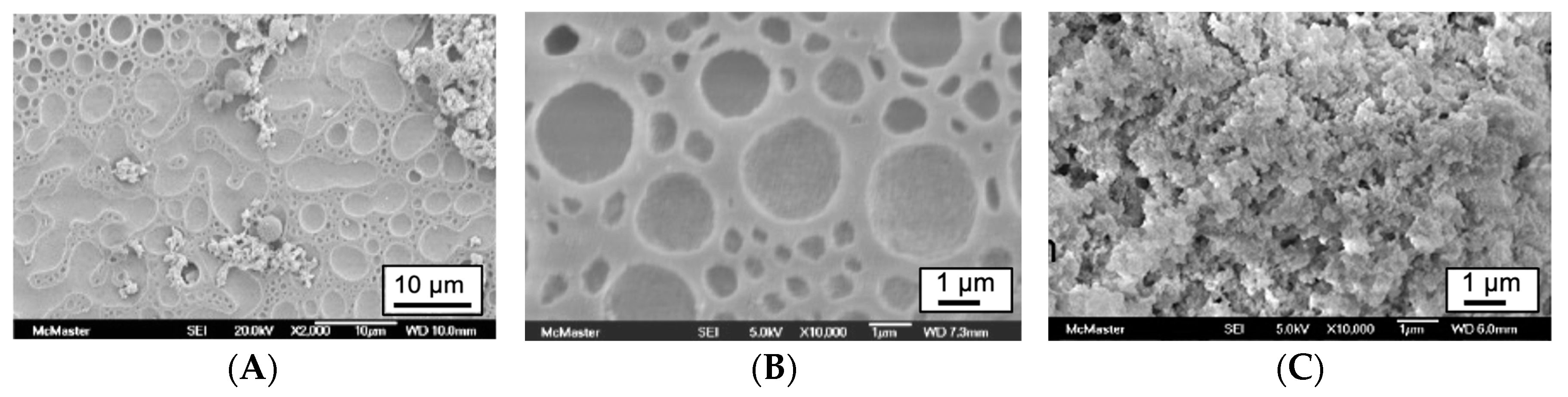 Materials 16 02831 g003