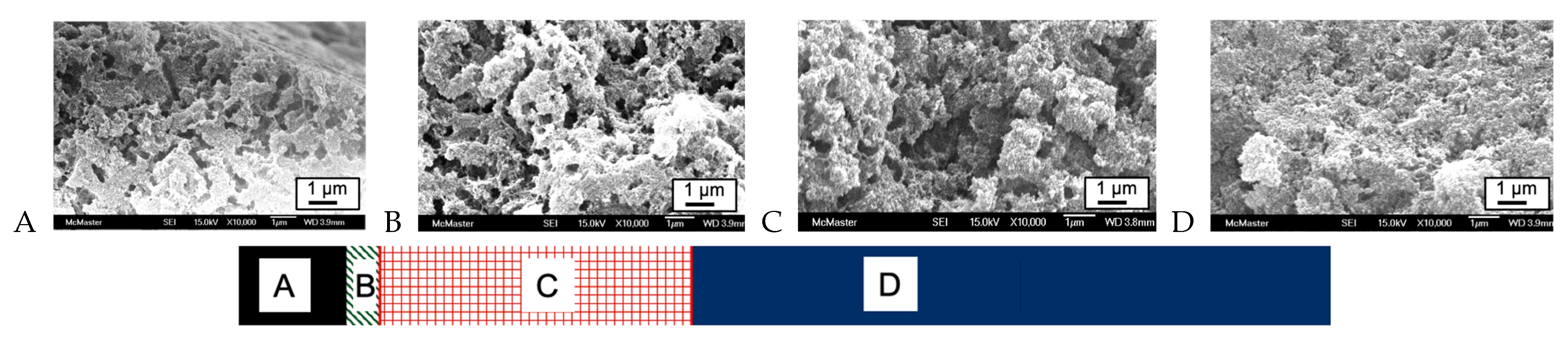 Materials 16 02831 g004