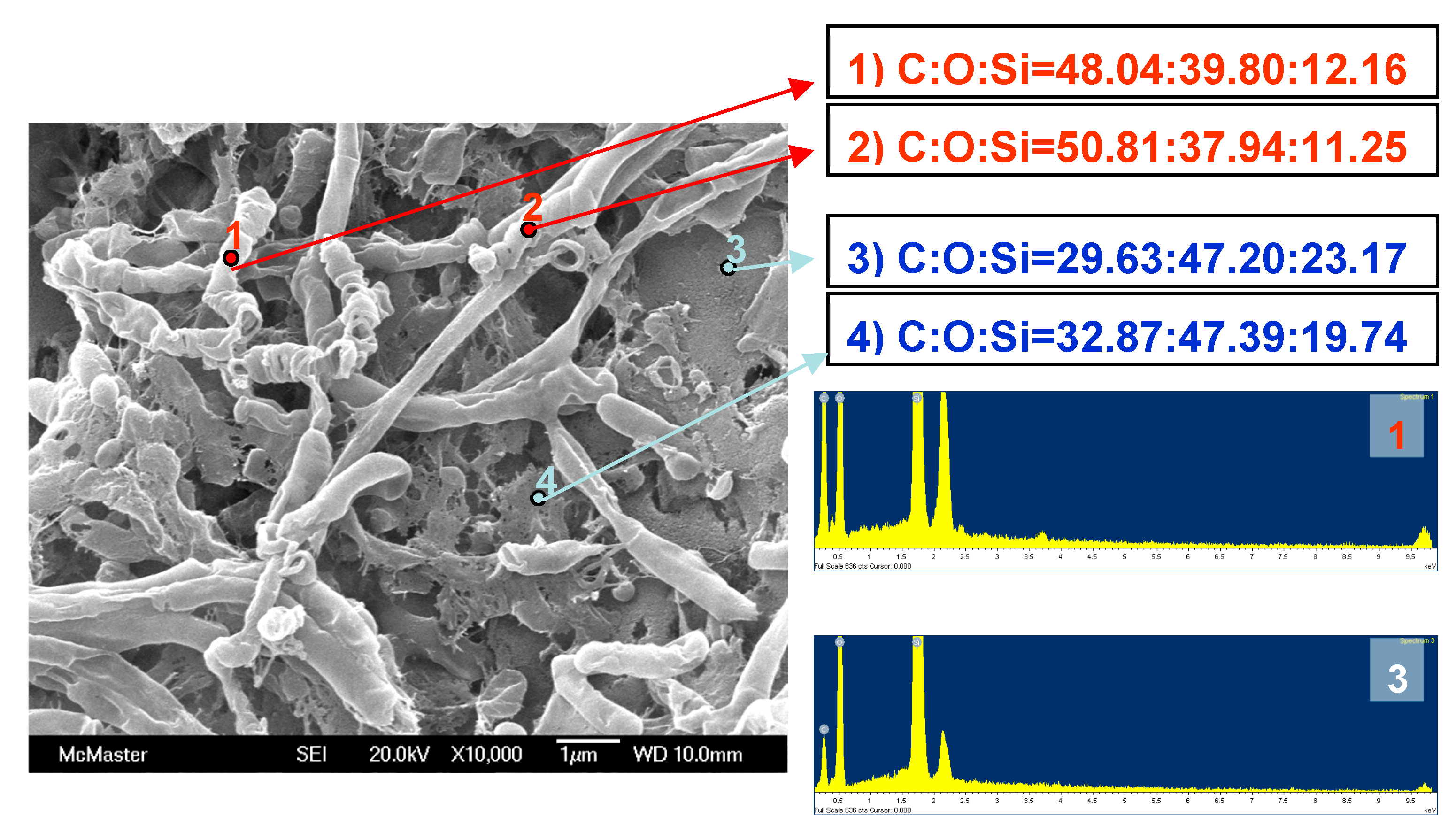 Materials 16 02831 g006