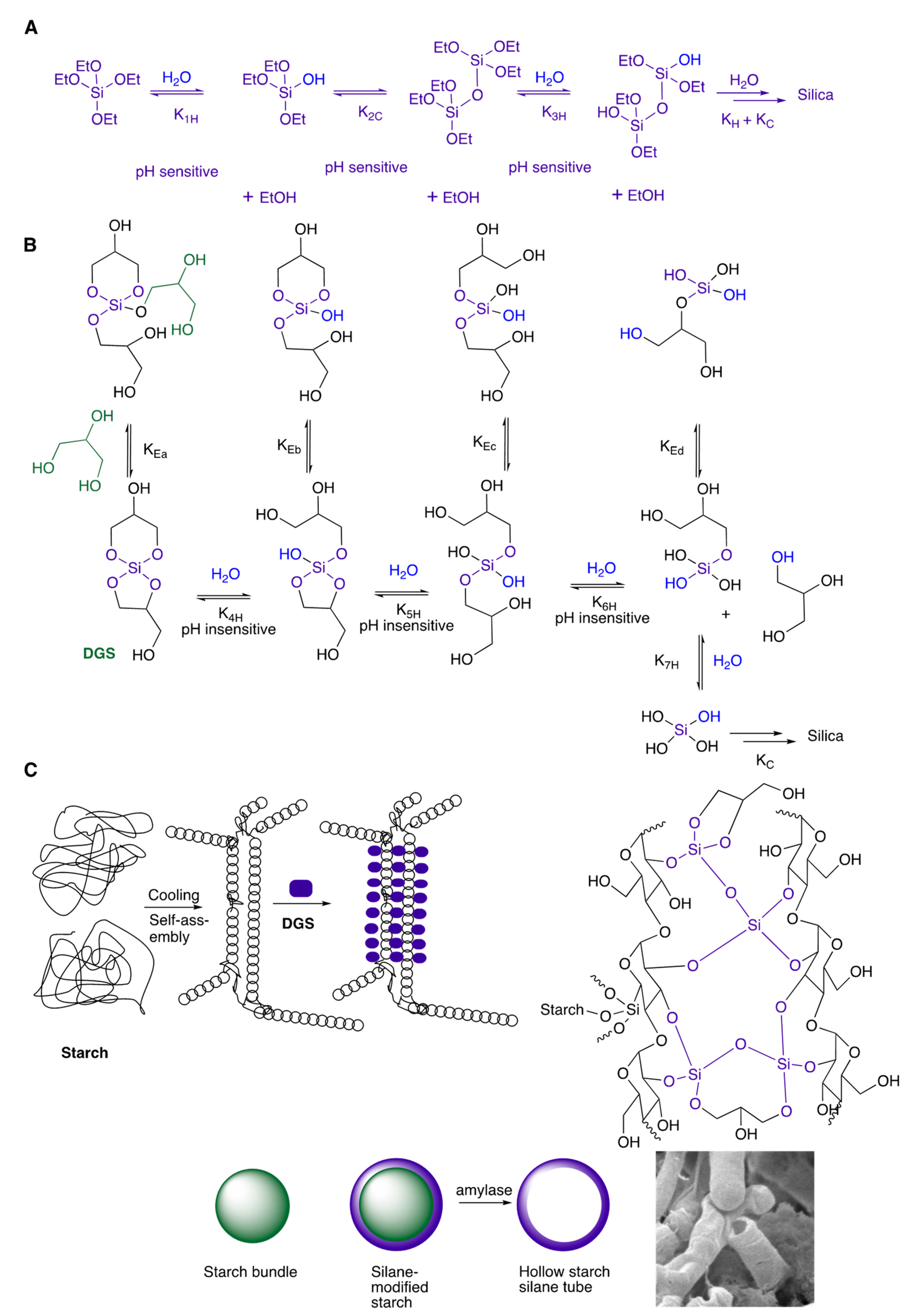 Materials 16 02831 g007