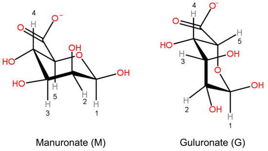 1H NMR and EPR Spectroscopies Investigation of Alginate Cross