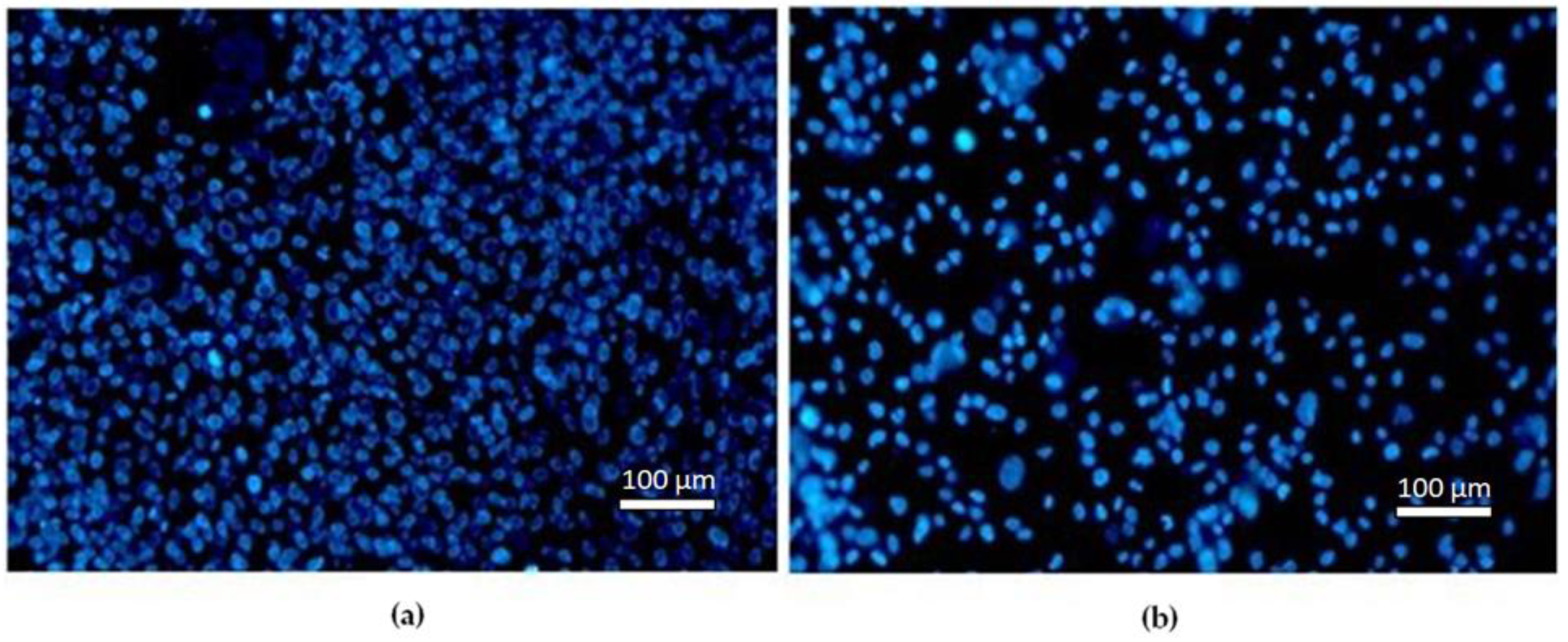 Materials 16 02851 g005 Materials 16 02851 g005