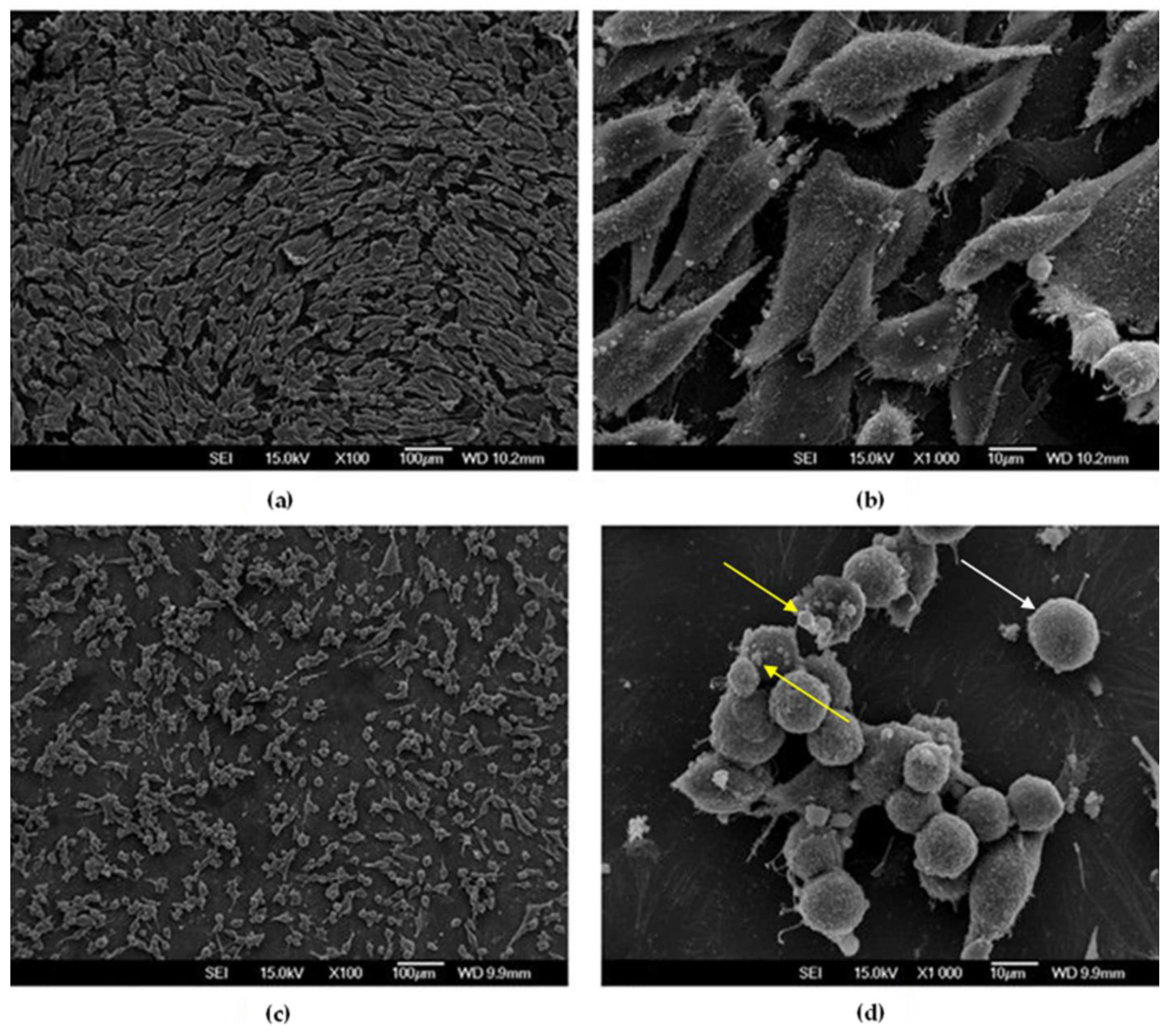 Materials 16 02851 g007 Materials 16 02851 g007