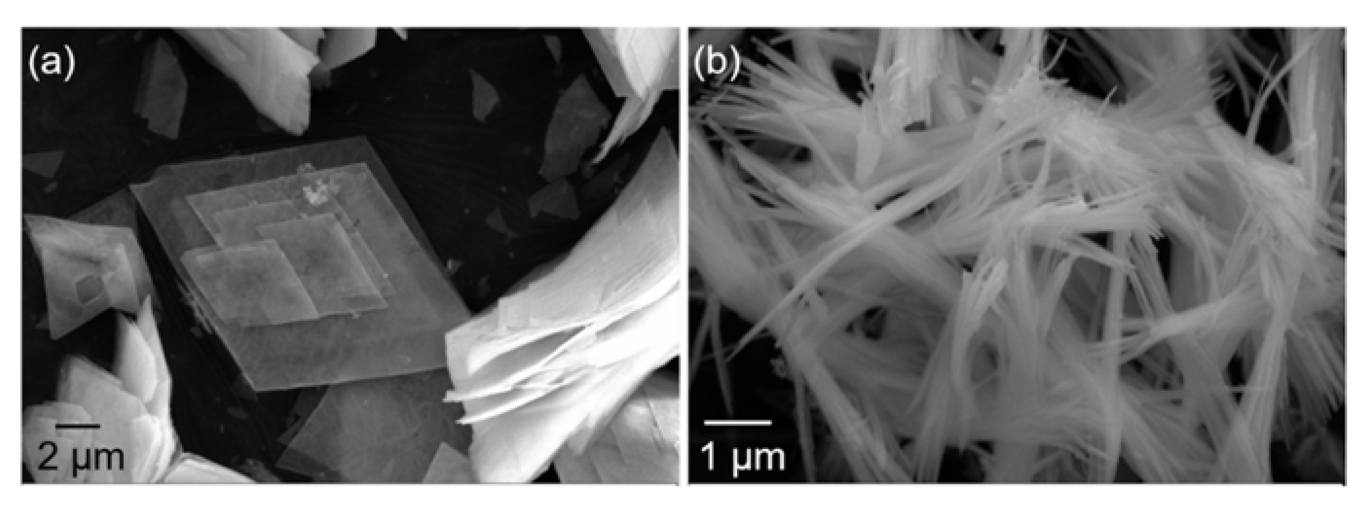 Materials 16 02854 g007