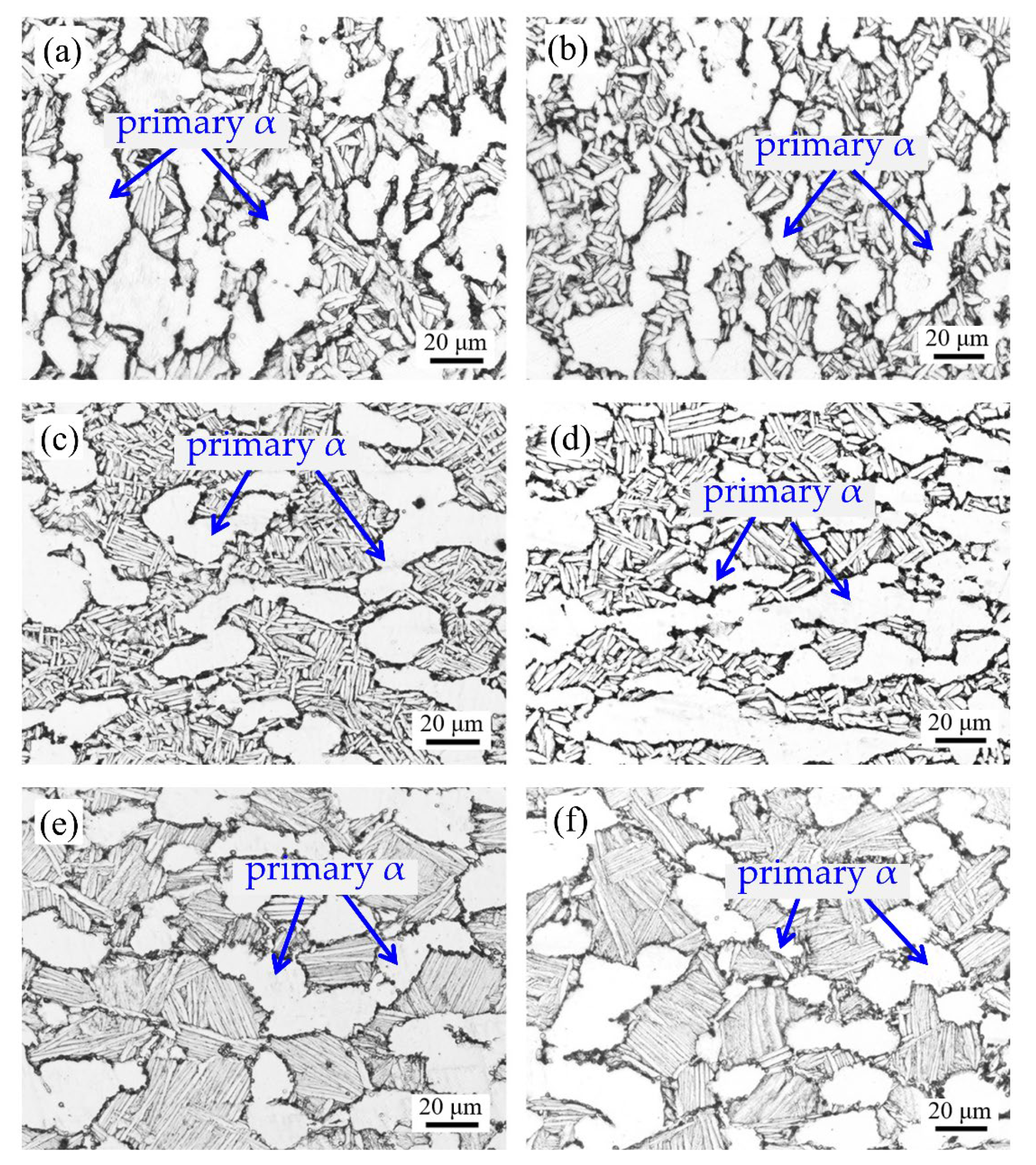 Materials 16 02860 g016 Materials 16 02860 g016